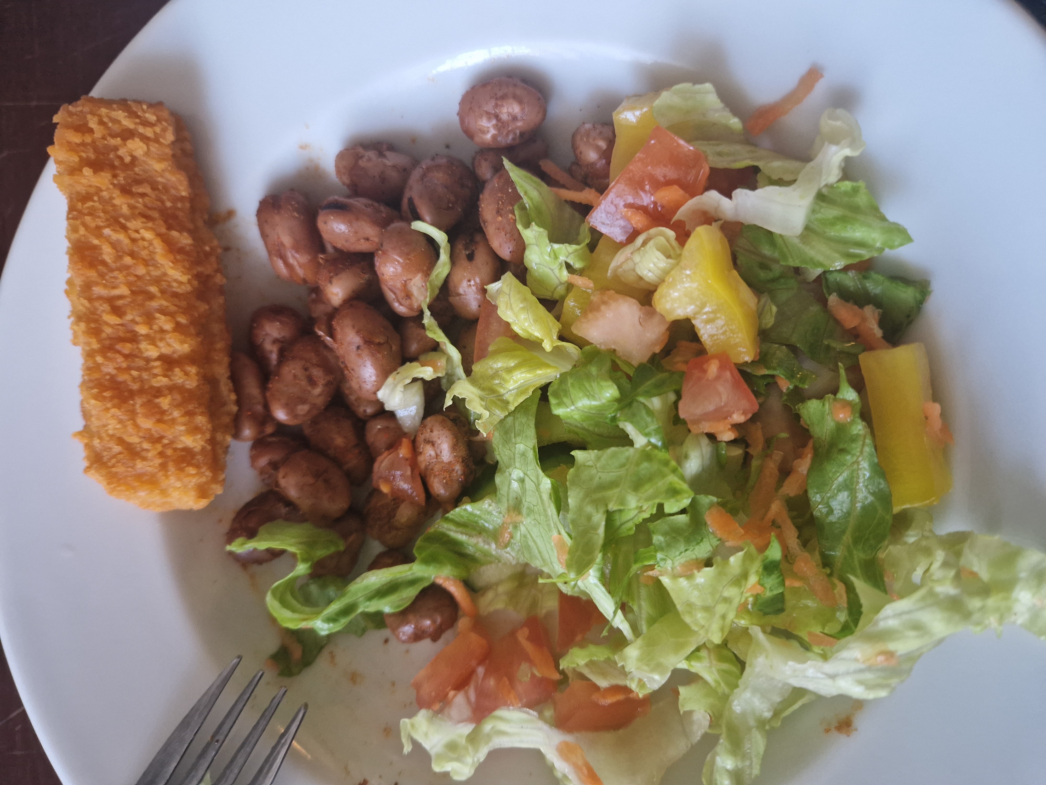 Fish stick, beans, salad