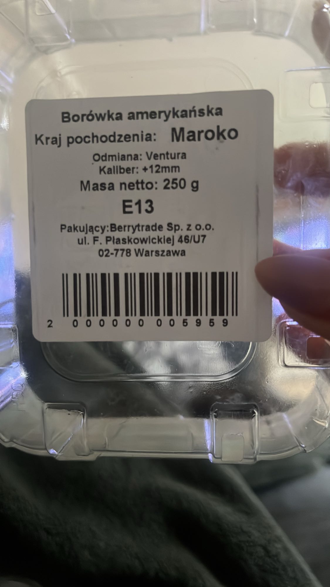 Borówki amerykańskie