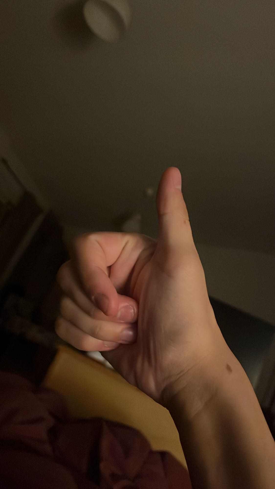 ningún alimento visible