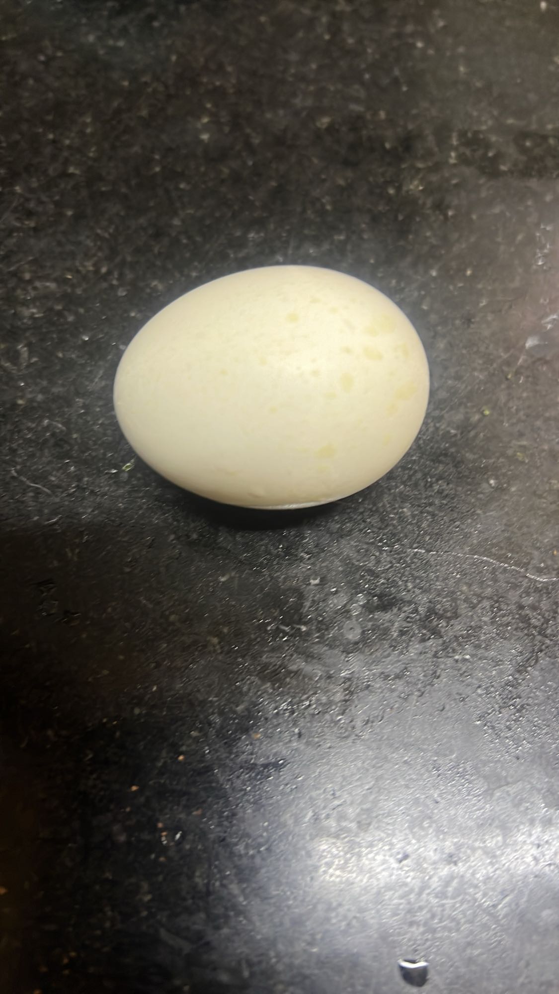 Boiled Egg