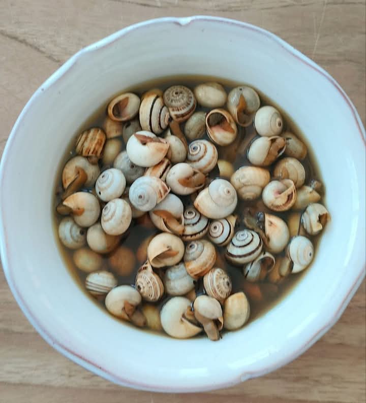 Caracoles en caldo