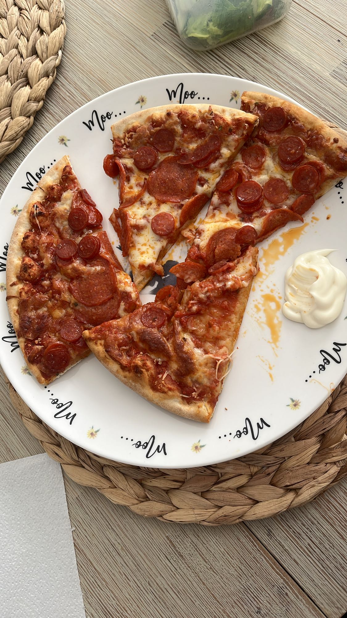 Pepperoni Pizza Slices