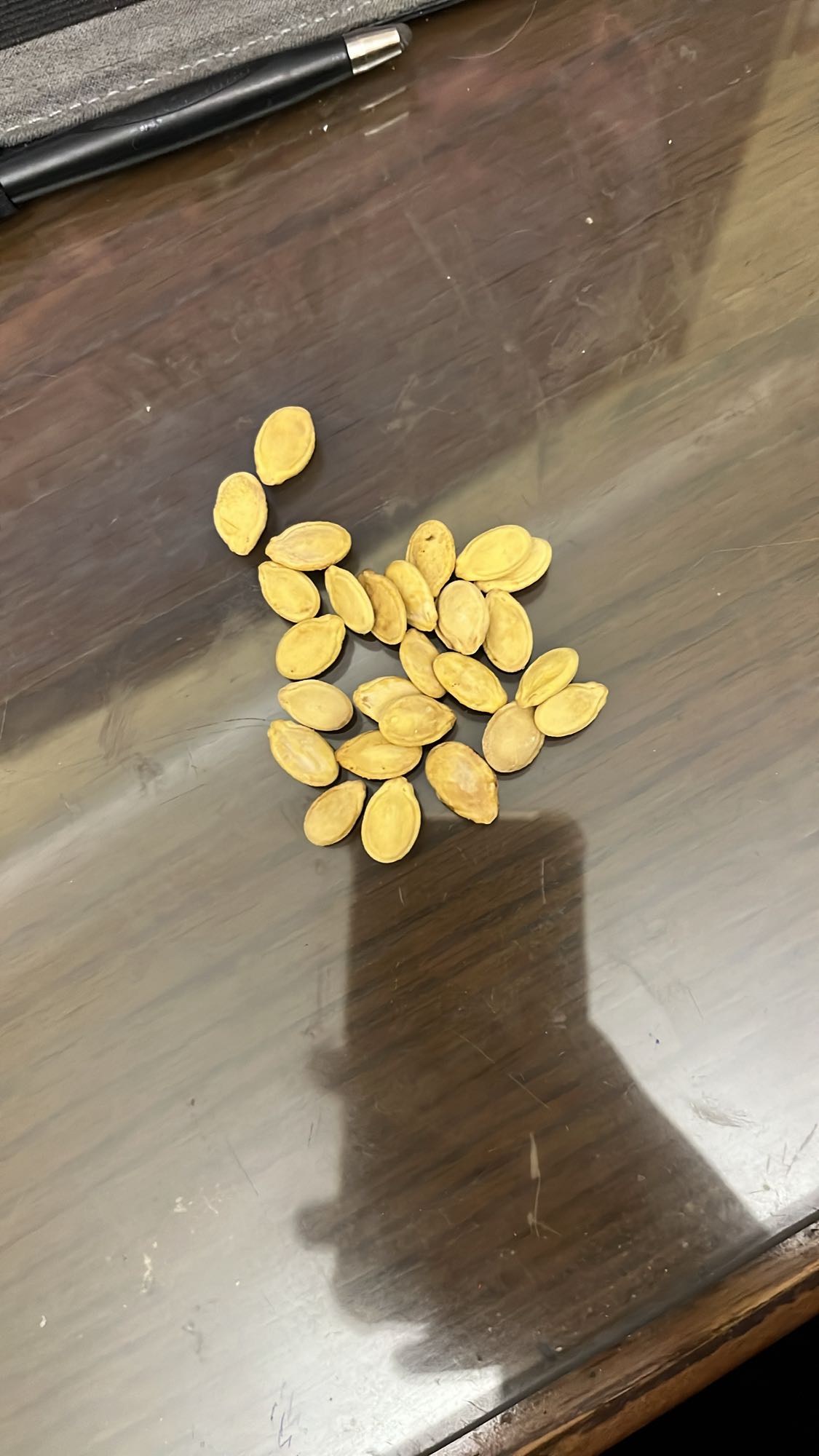 Roasted Pumpkin Seeds