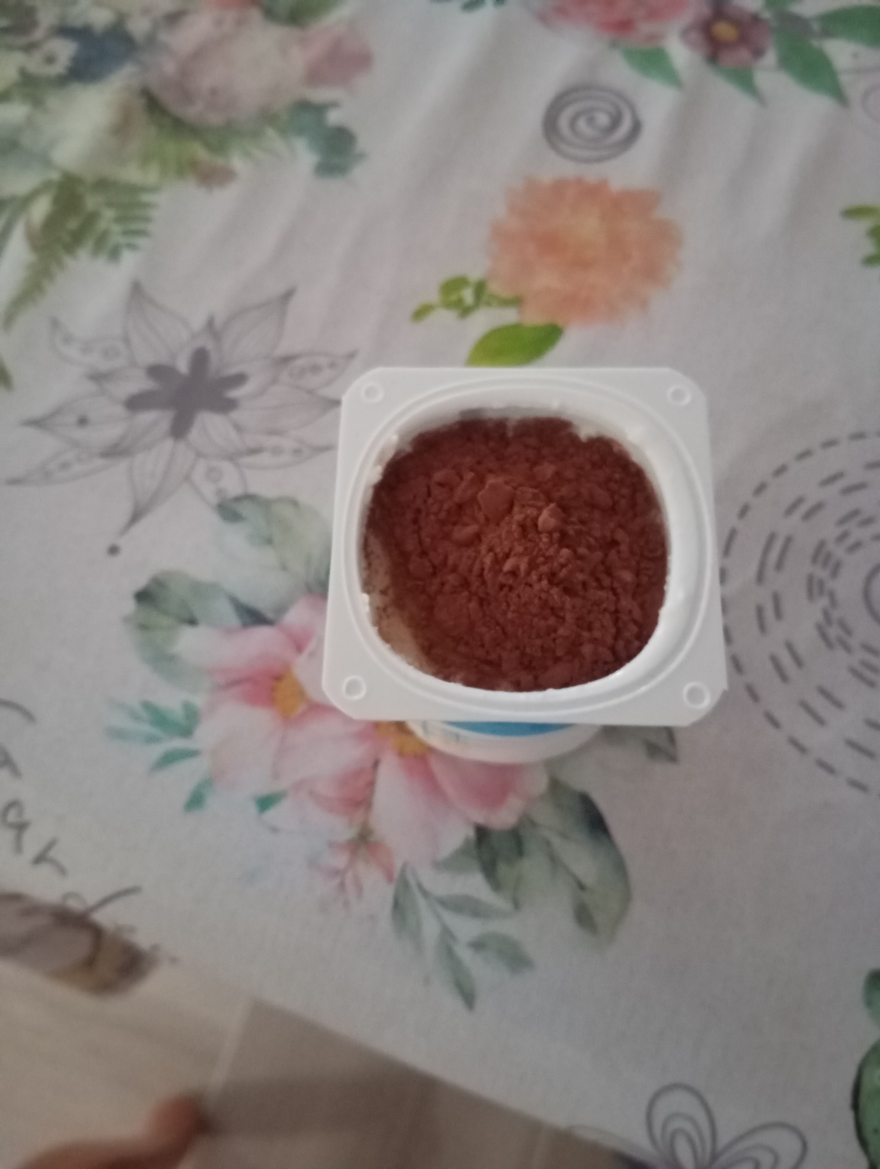 Yogur con cacao en polvo