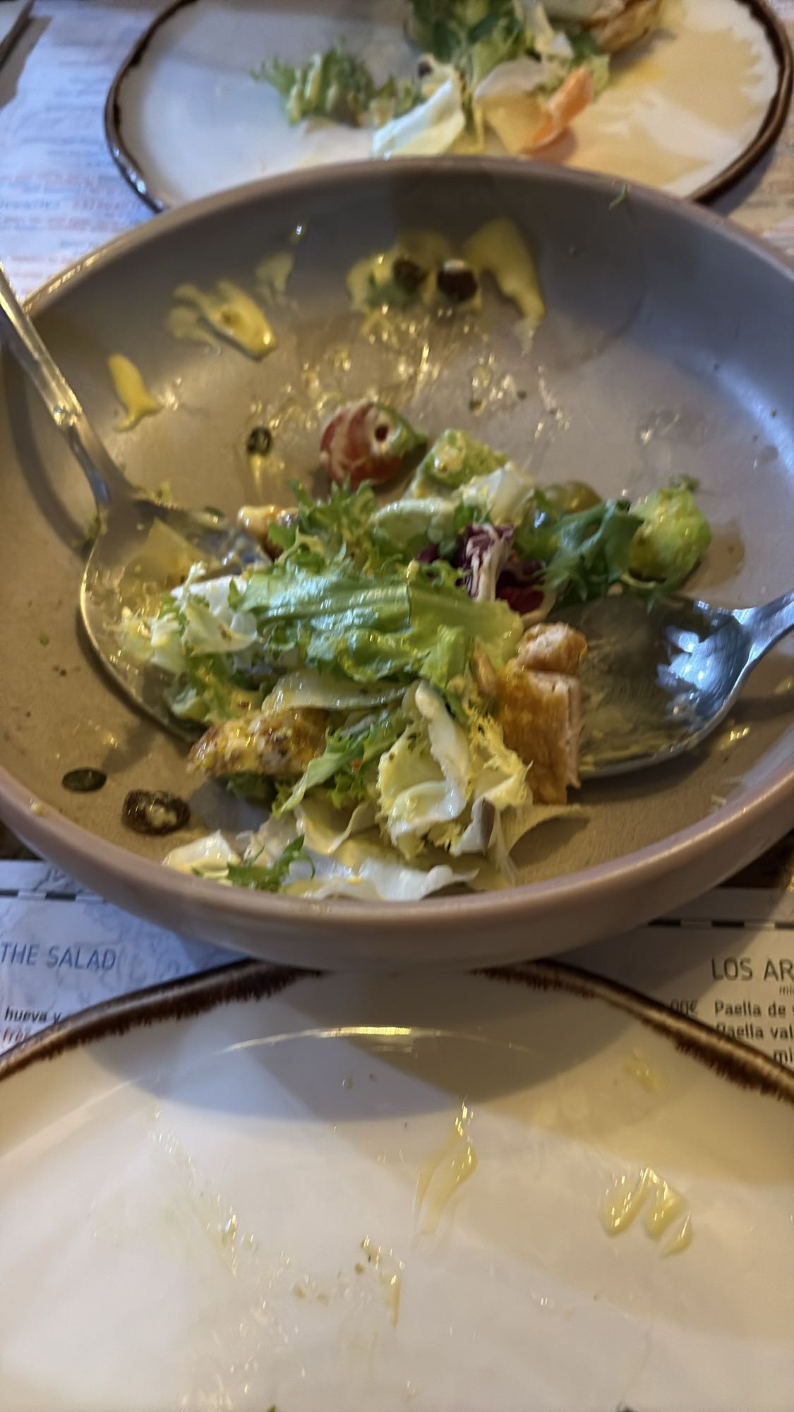 Chicken Garden Salad