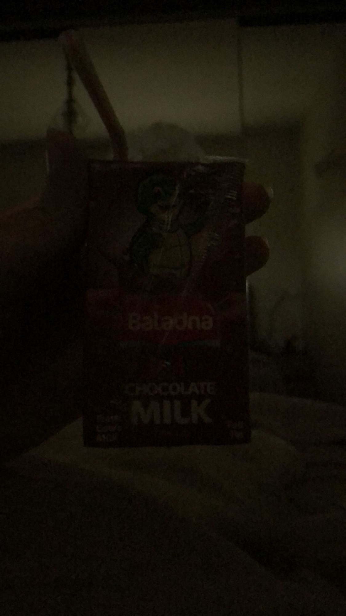 Chocolate Milk Box