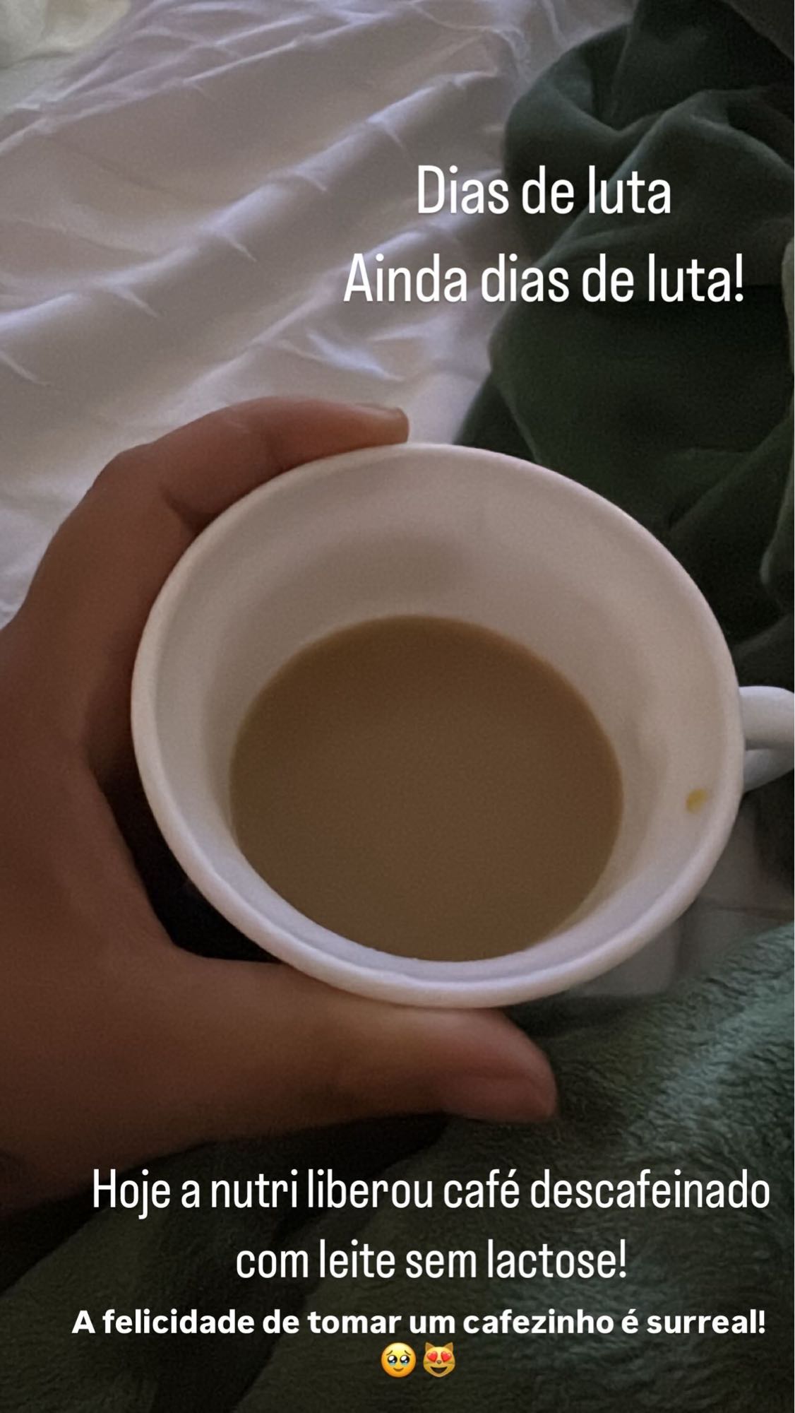 Natural Whey doce de leite Verde Campo