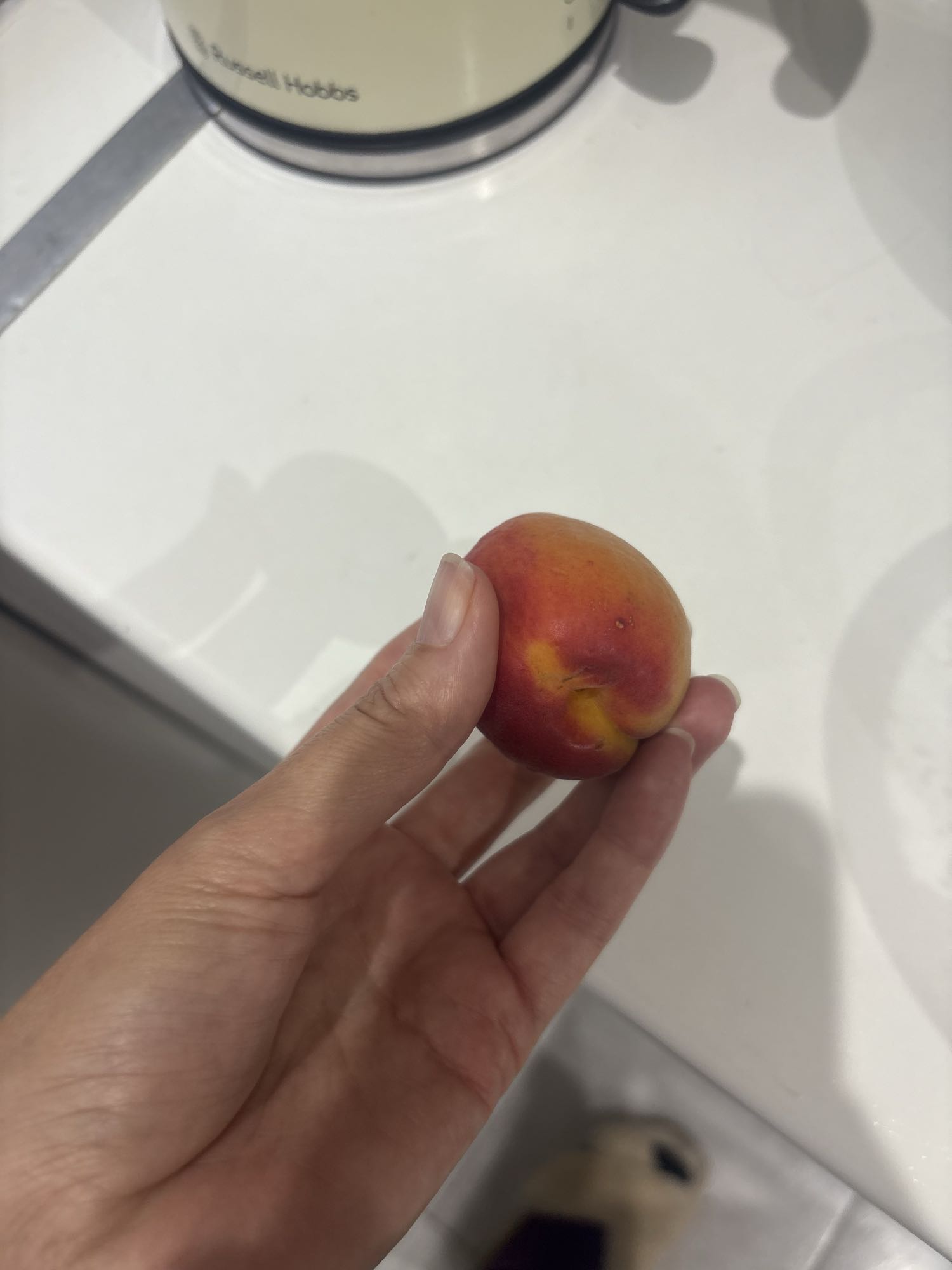 Two apricot snack