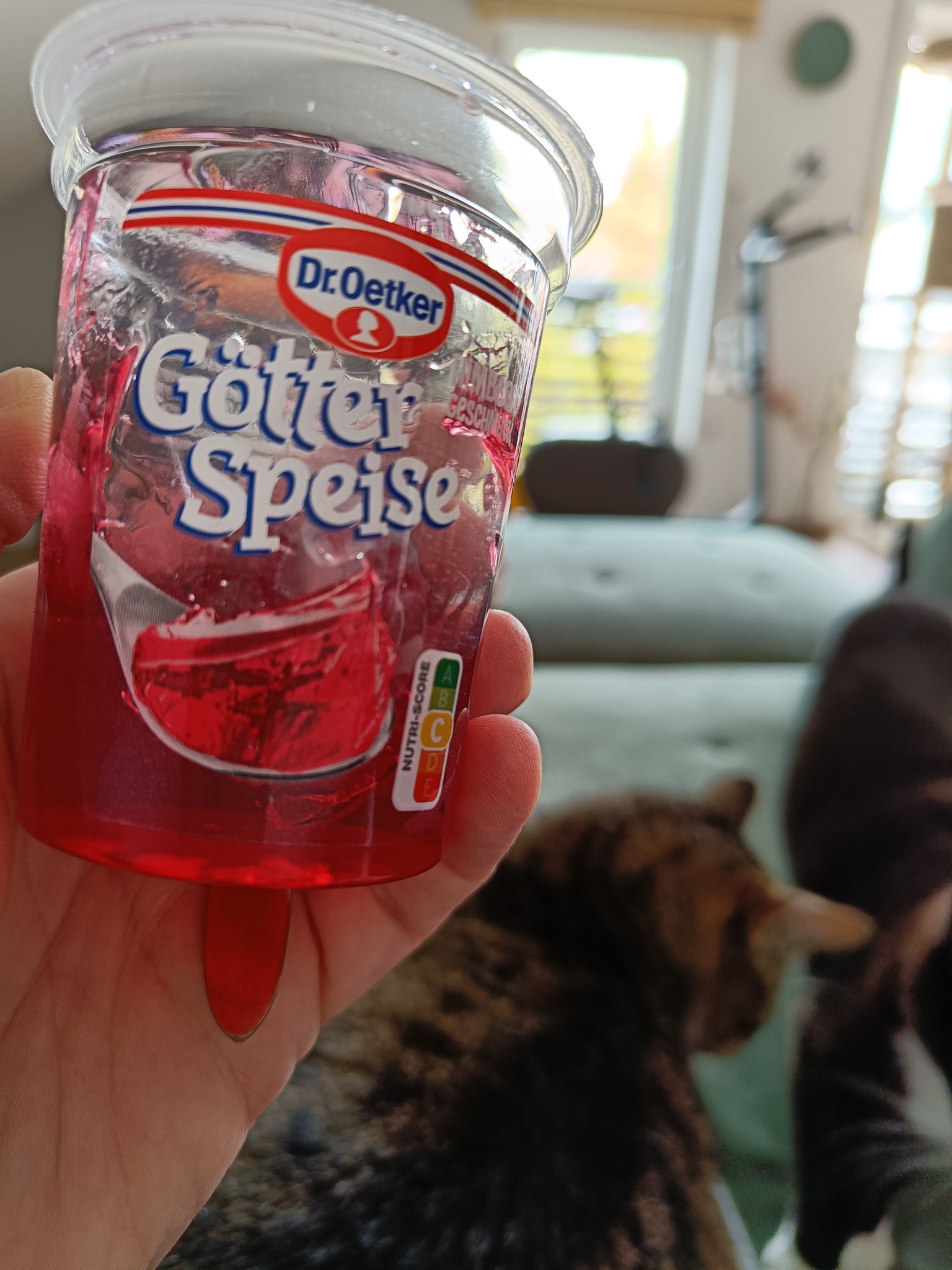 Götterspeise Erdbeere