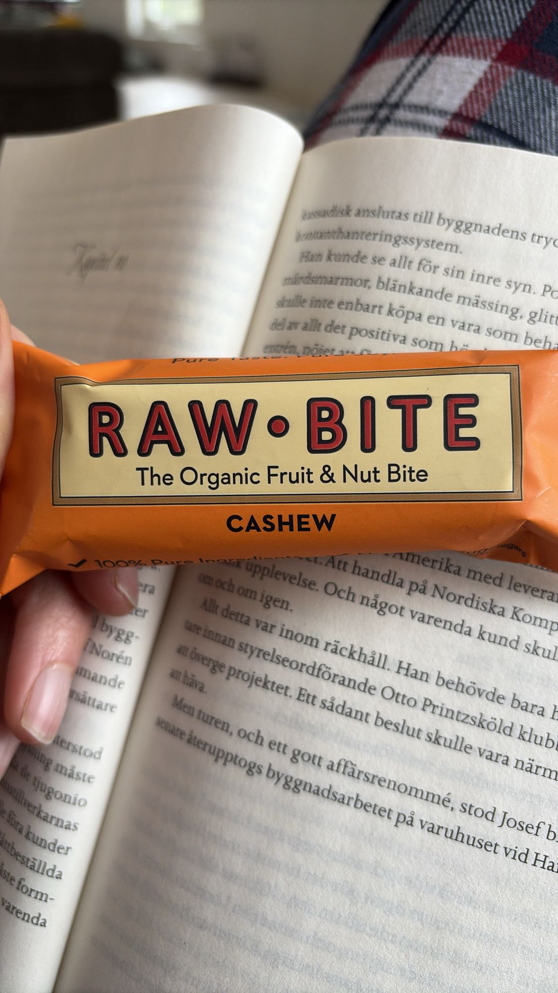 Raw Bite Cashew Bar