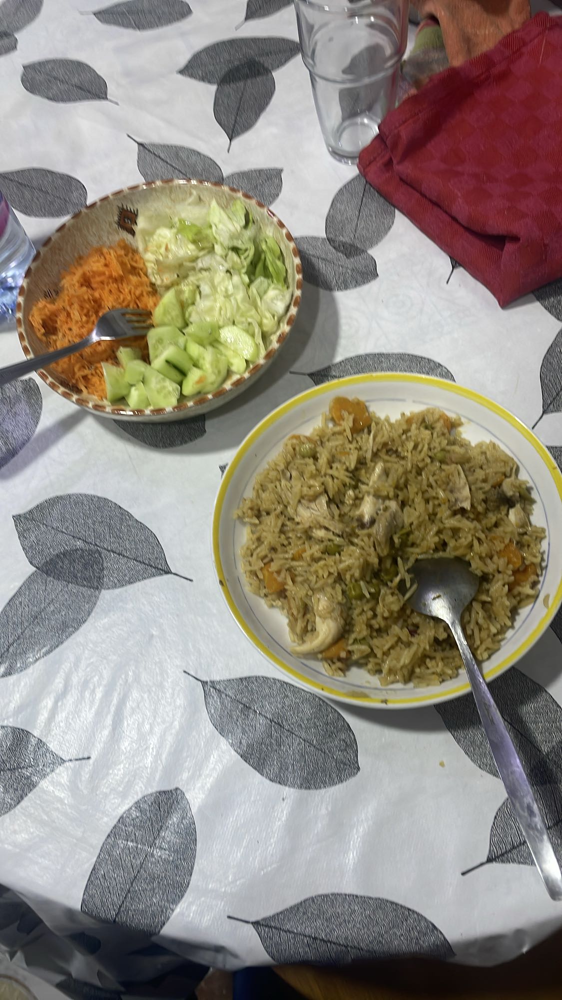 Riz au poulet et salade