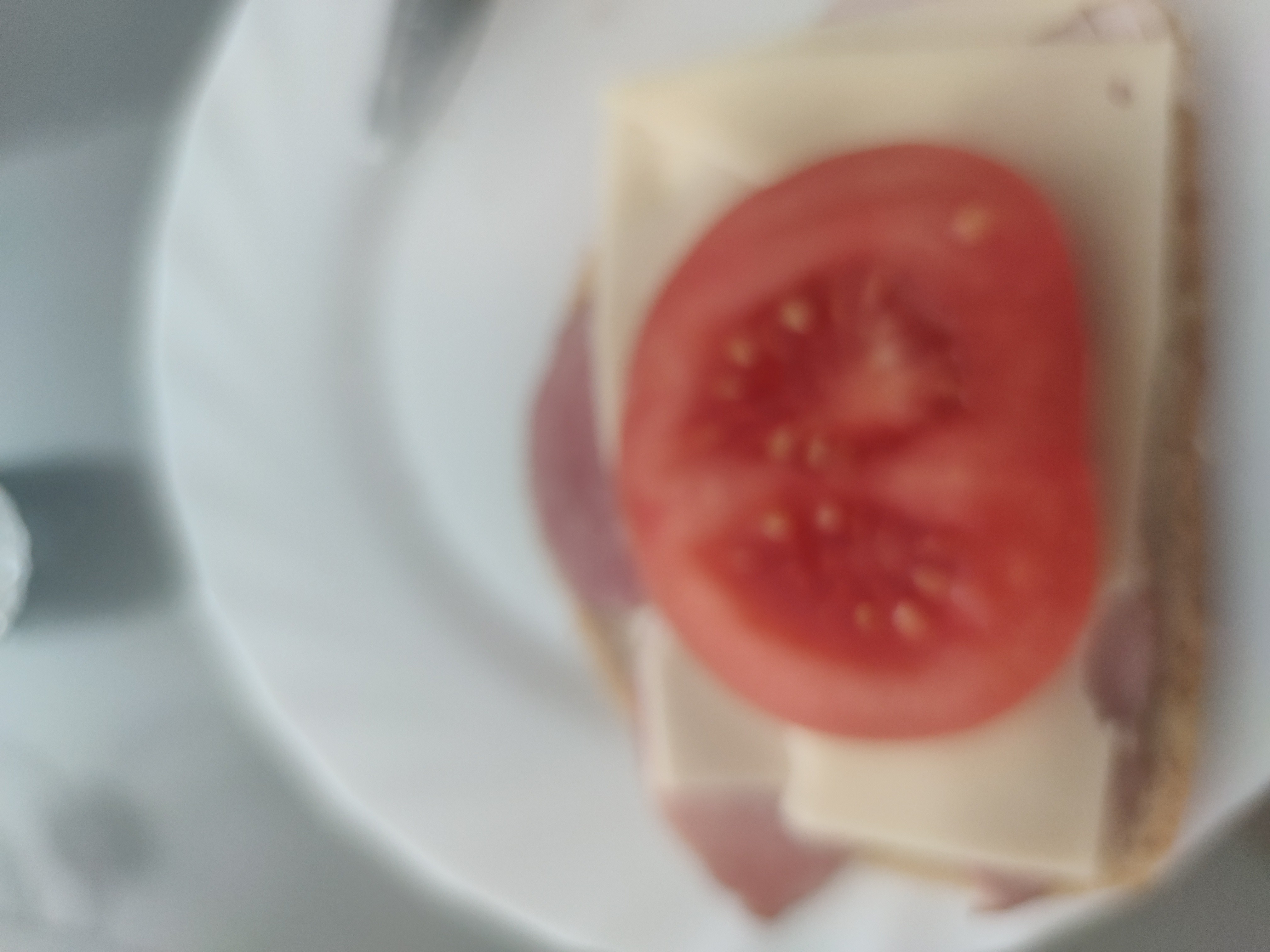 Ham cheese tomato sandwich