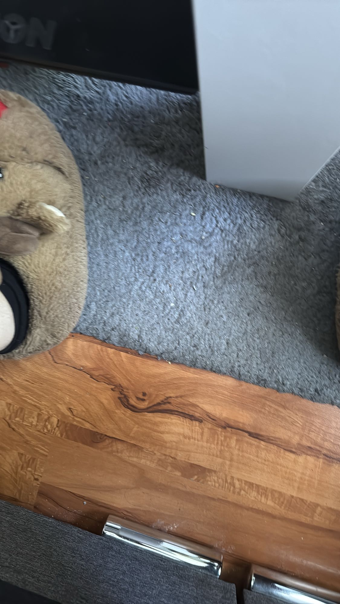 Jogurt z borówkami jogobella