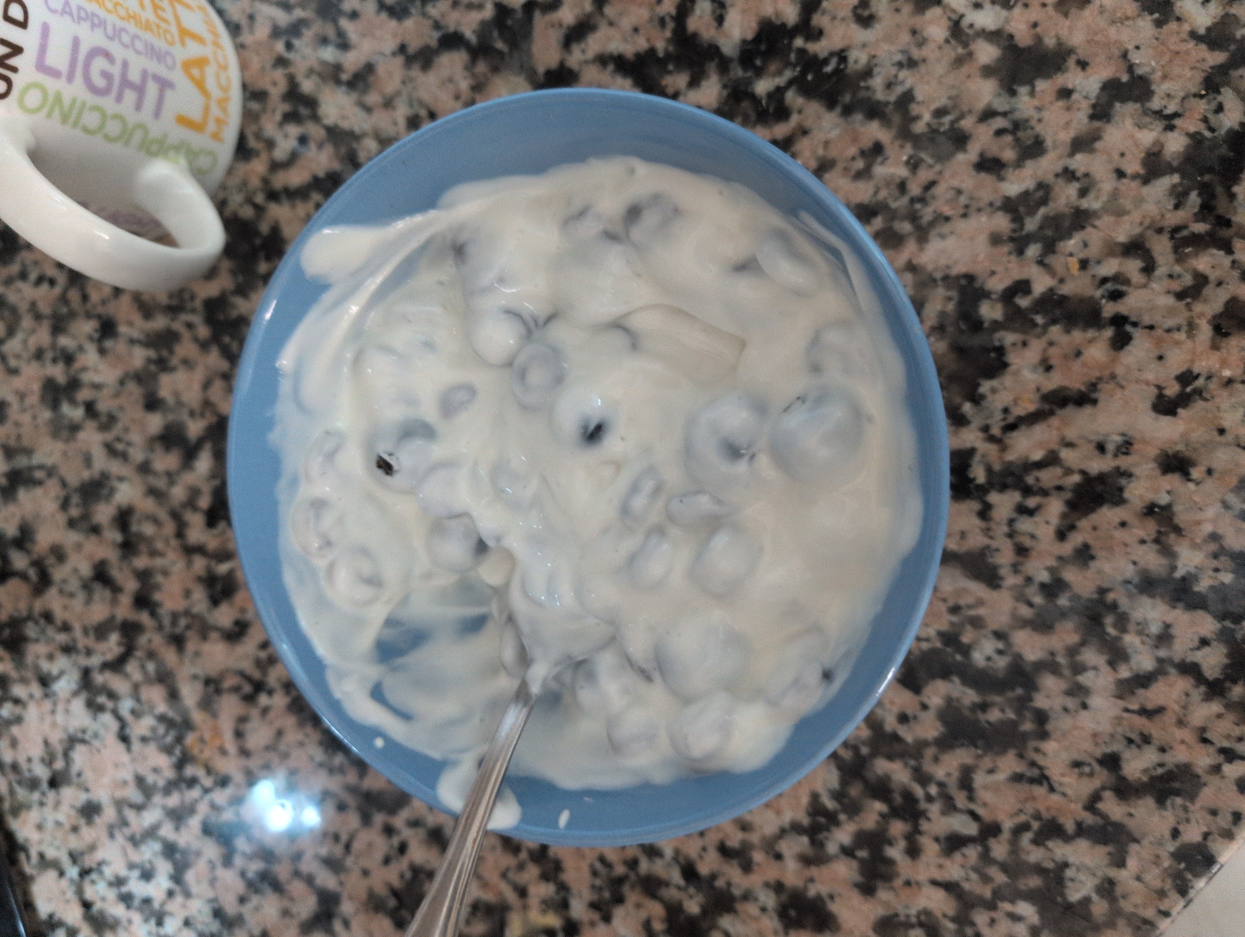 Yogurt with blueberries