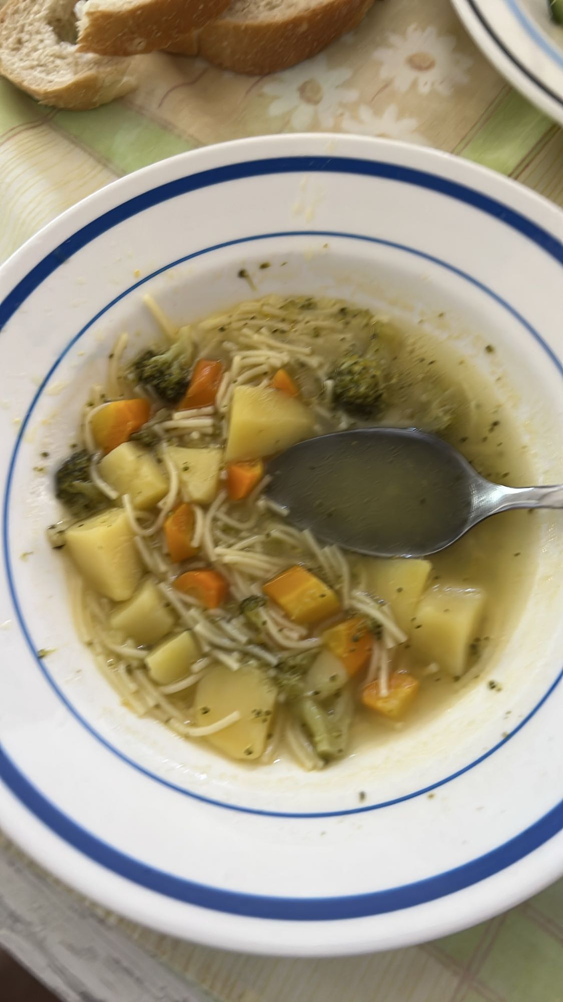 Vegetable noodle soup