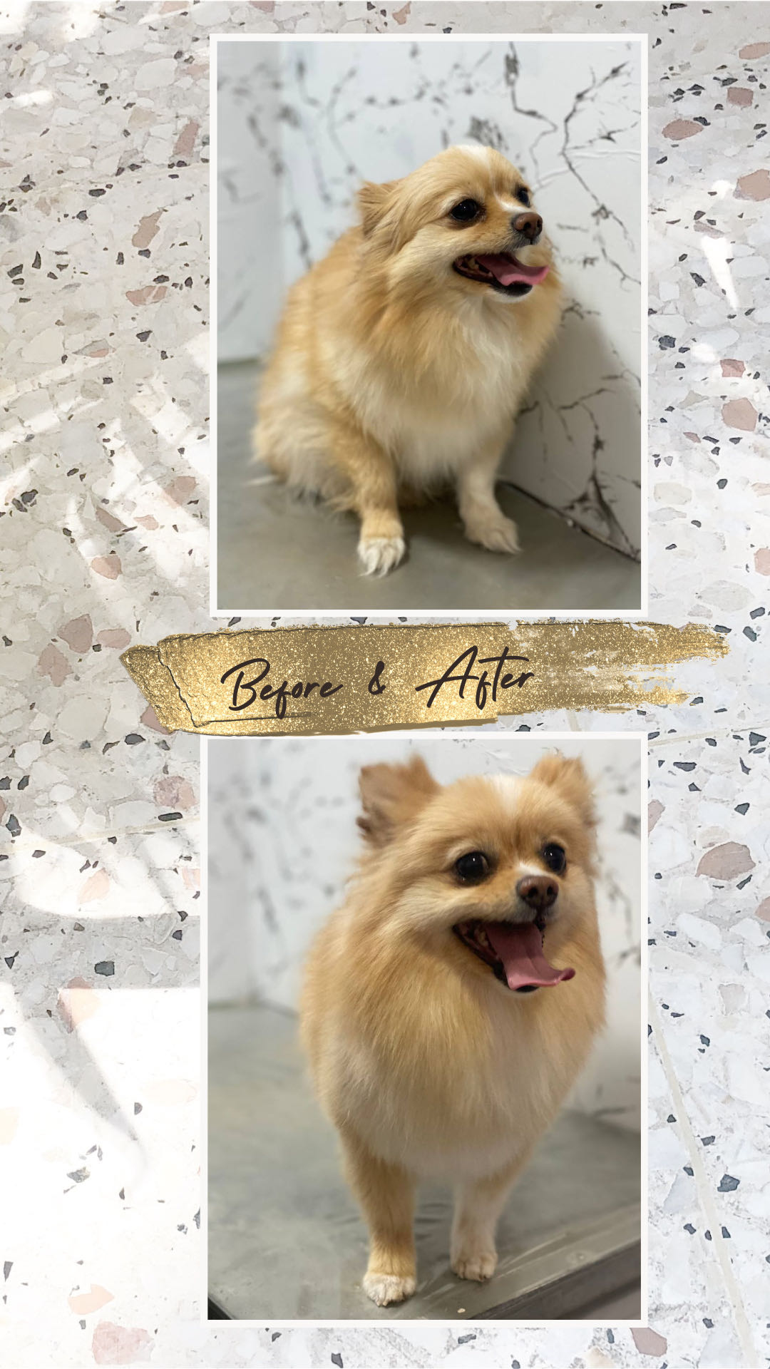 Нет еды на фото