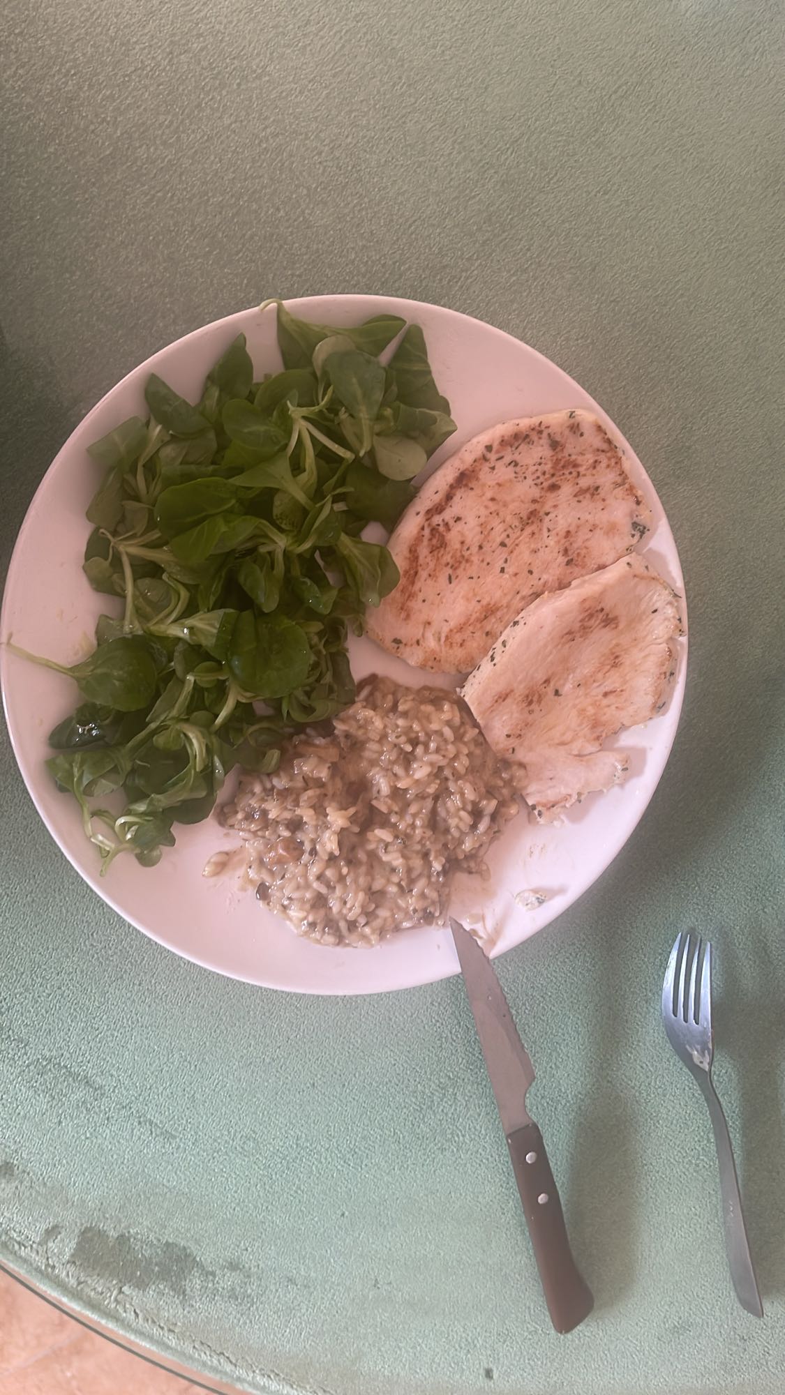 Pollo con arroz y ensalada