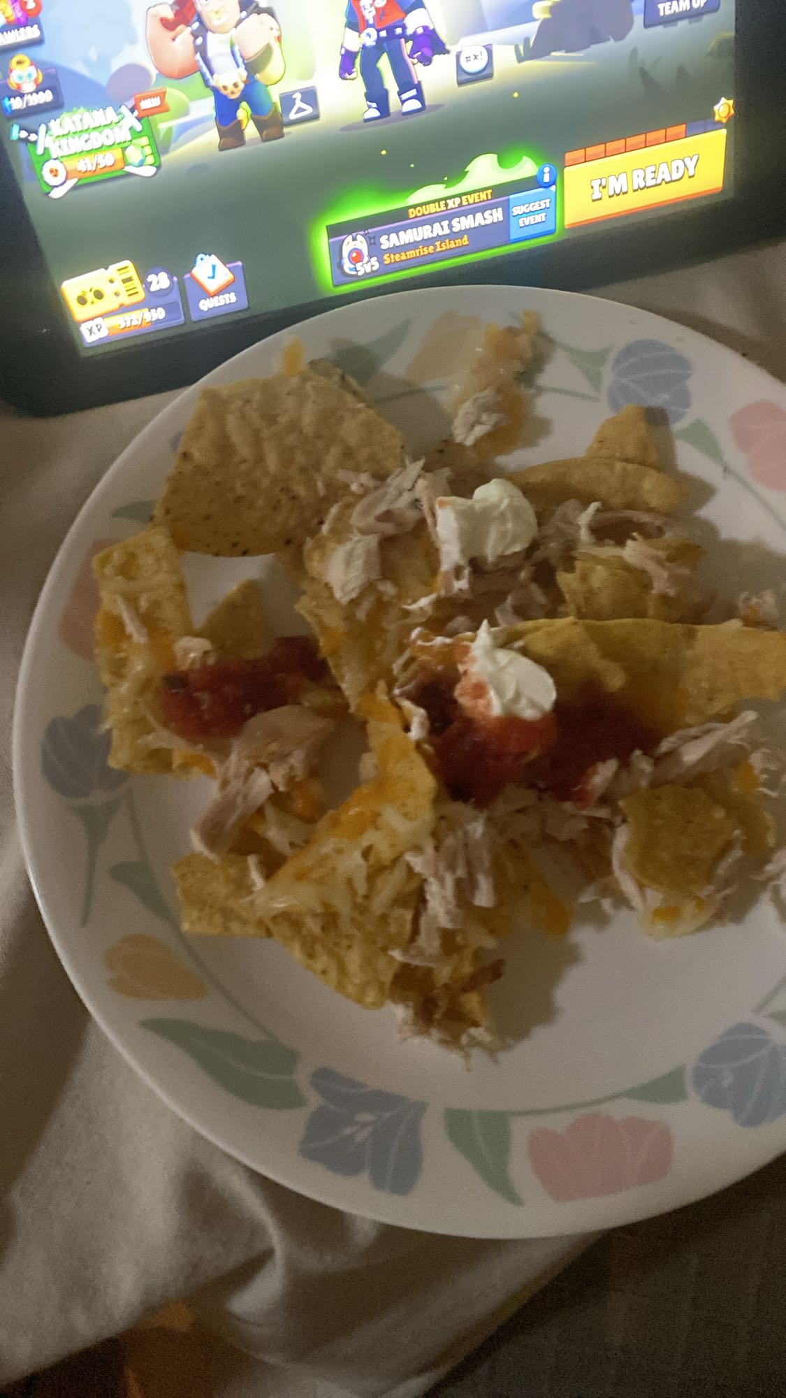 Chicken Nachos Plate