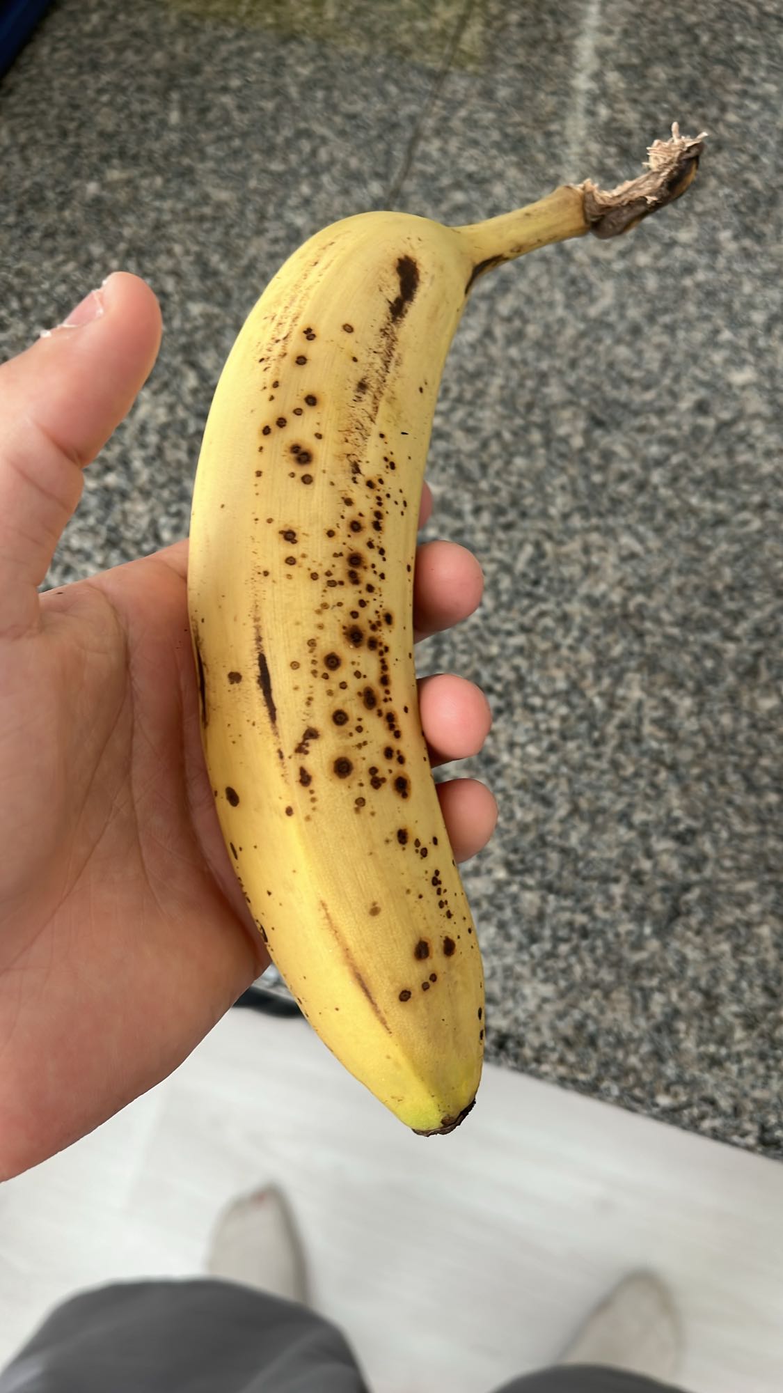 Banan