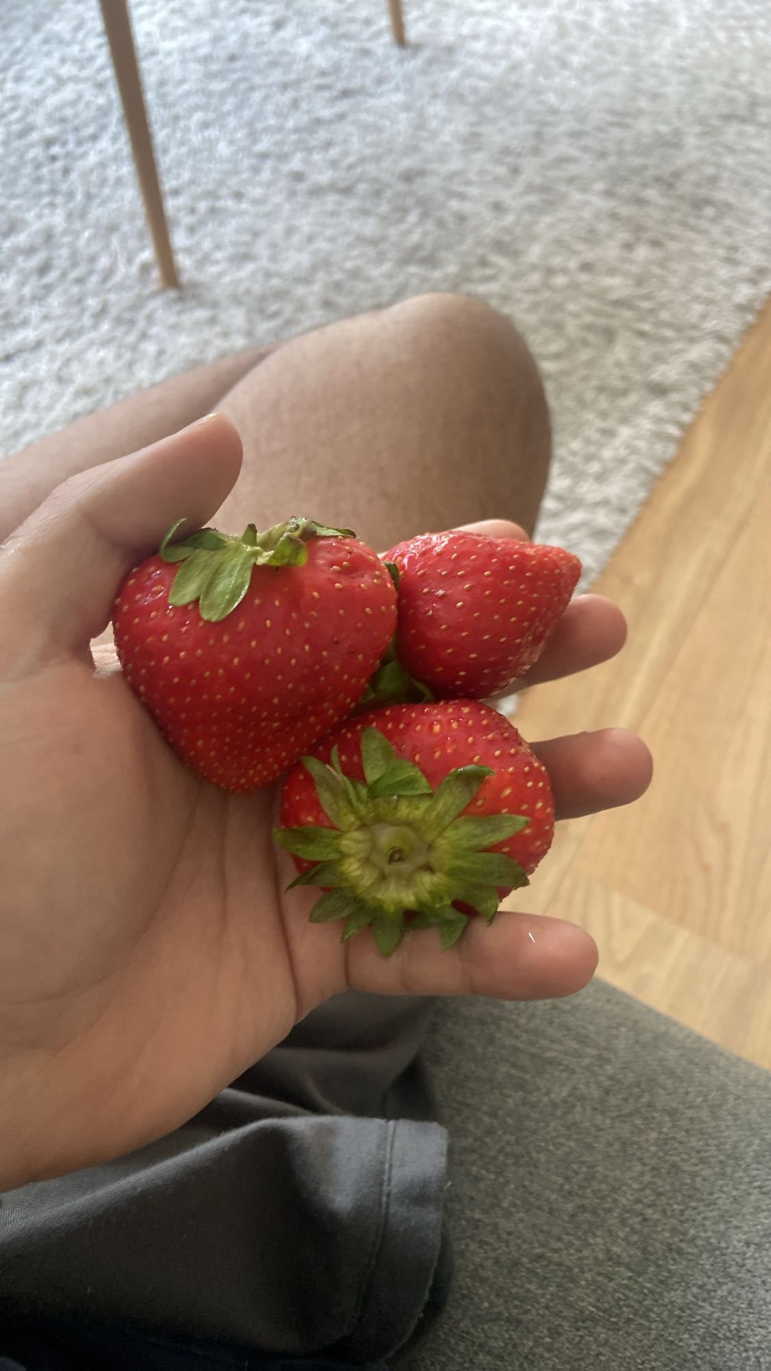 Fresh Strawberries