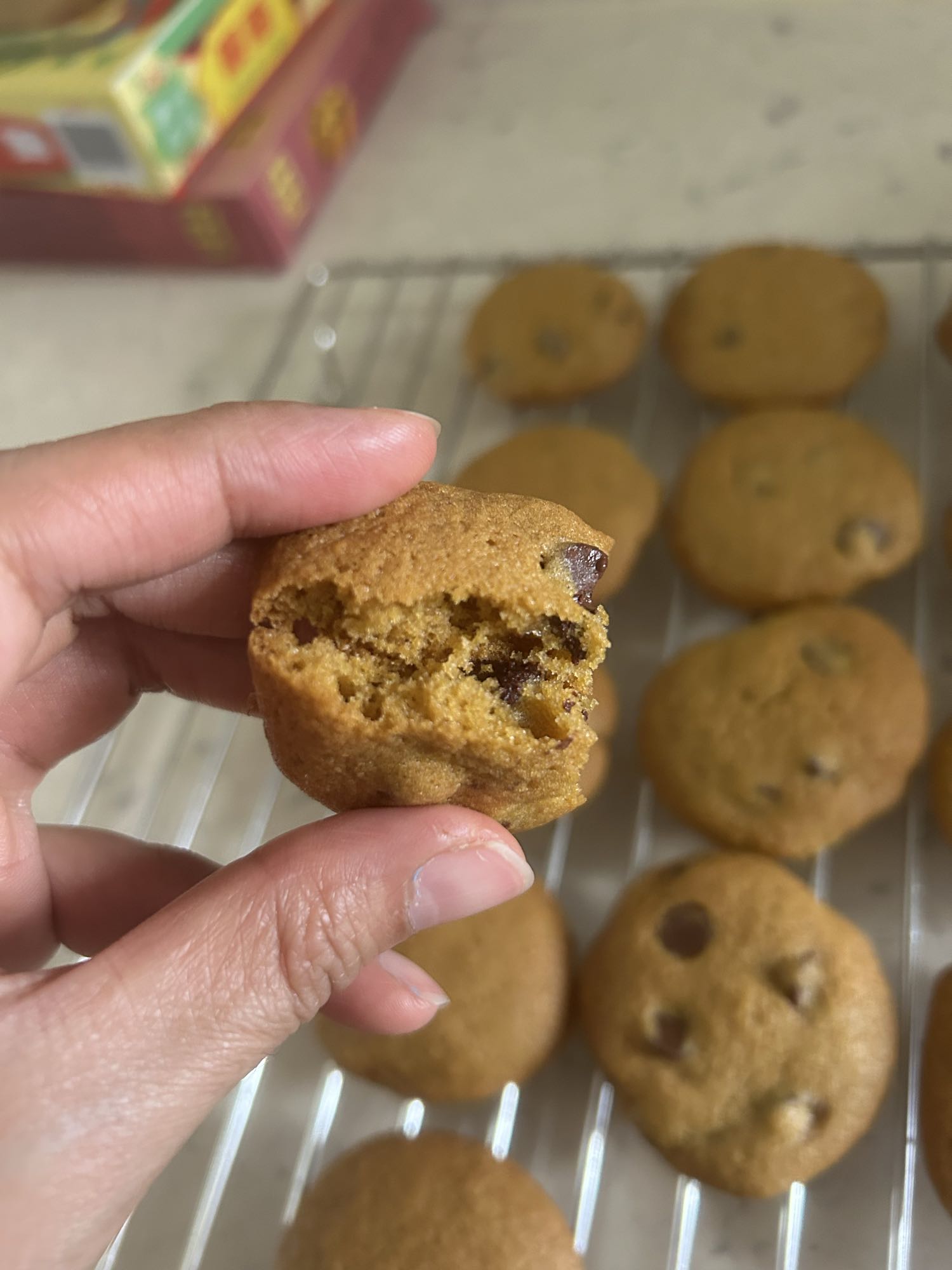 Chocolate Chip Cookie