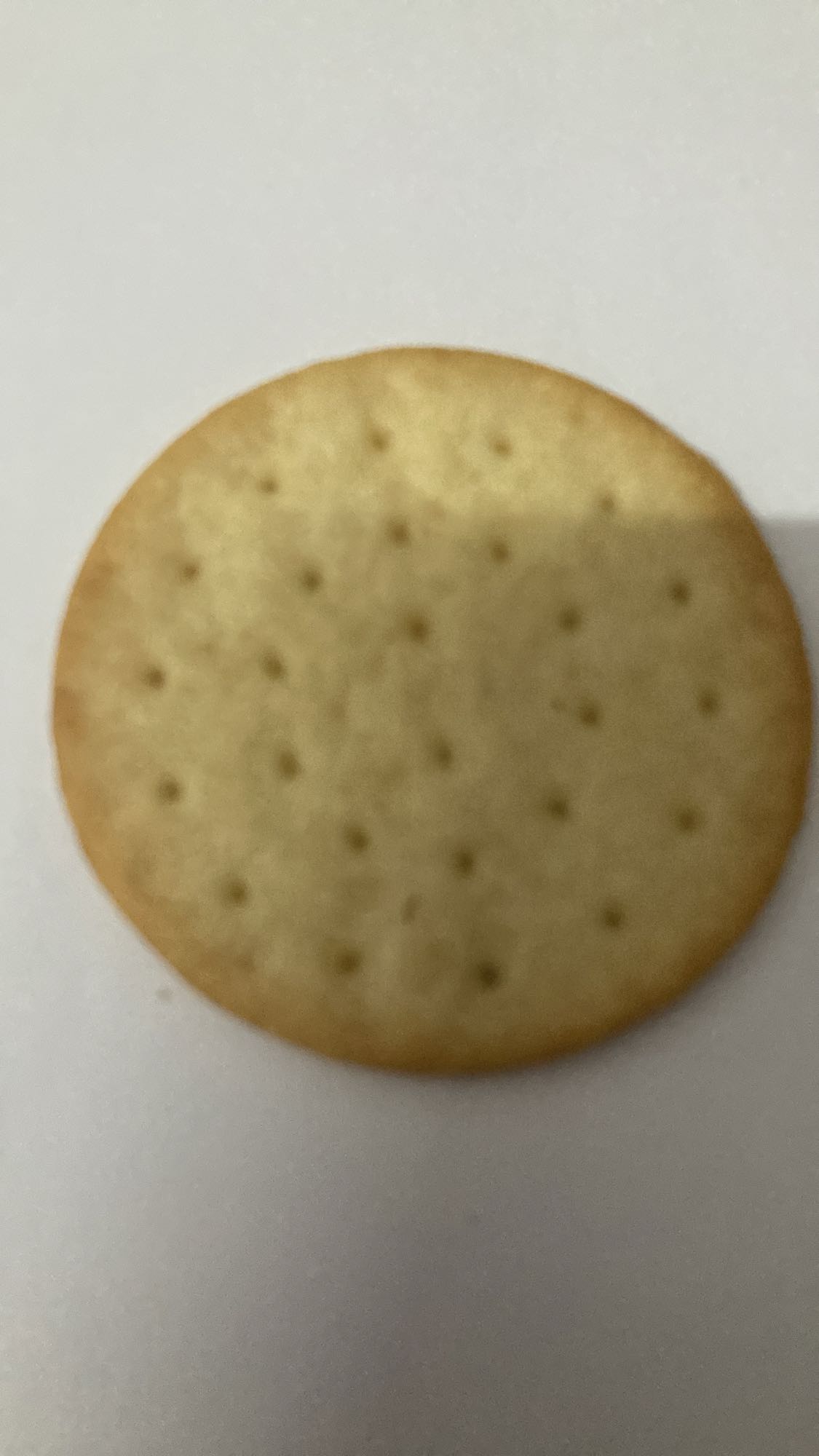 Plain cracker