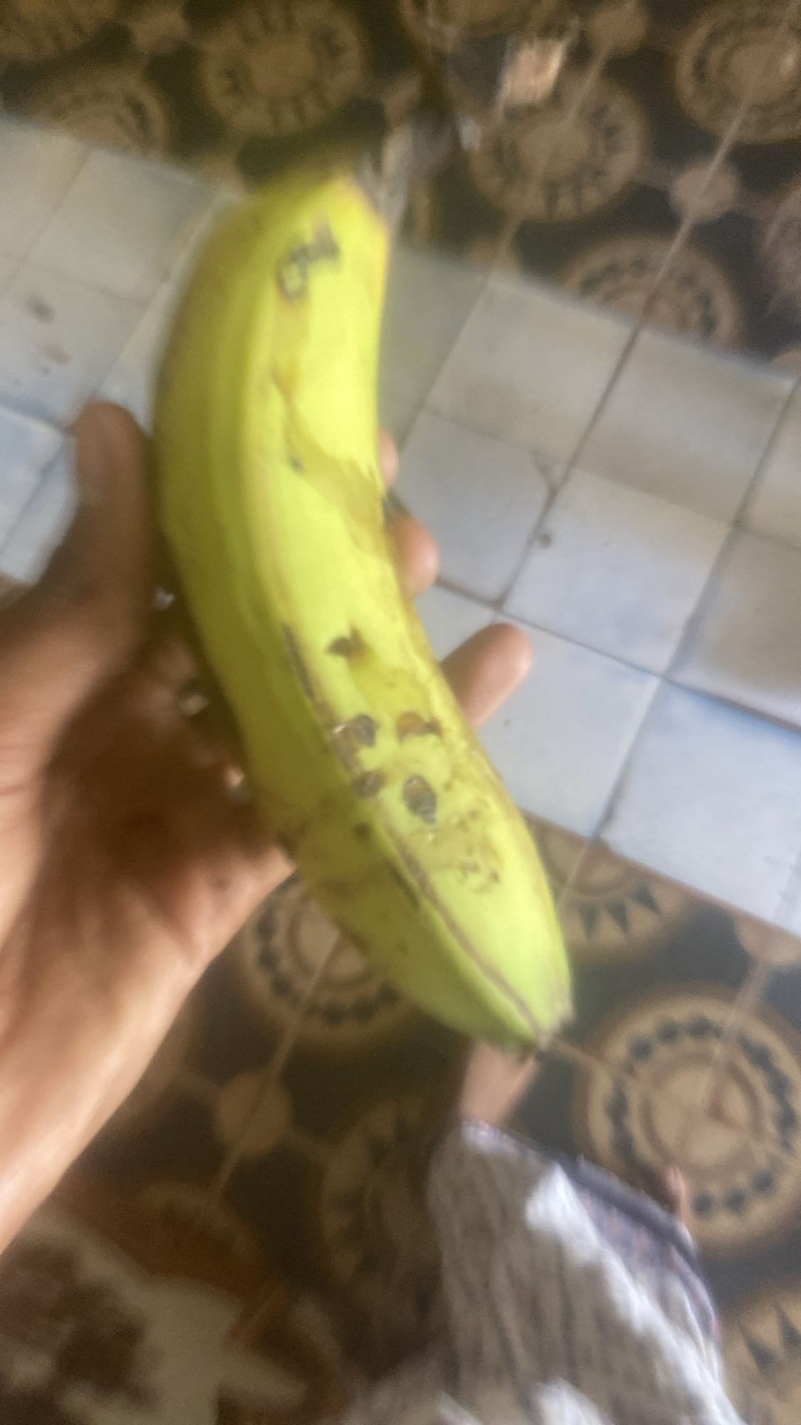 Raw Plantain