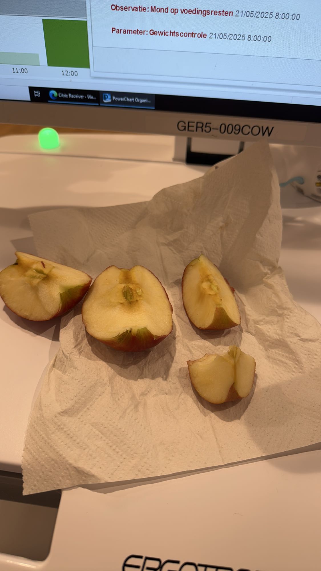 Appelstukjes snack