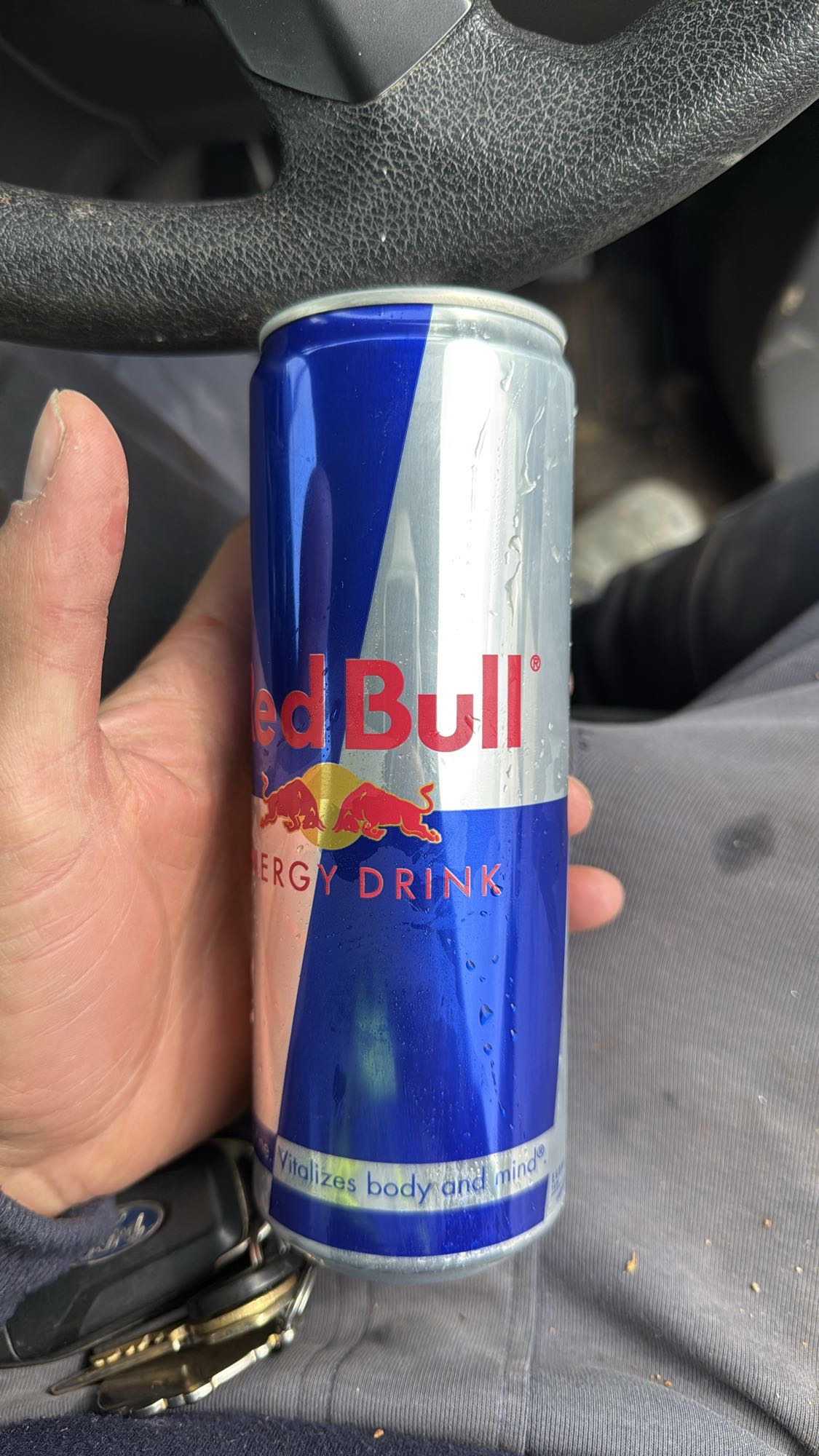 Red Bull Energy Drink