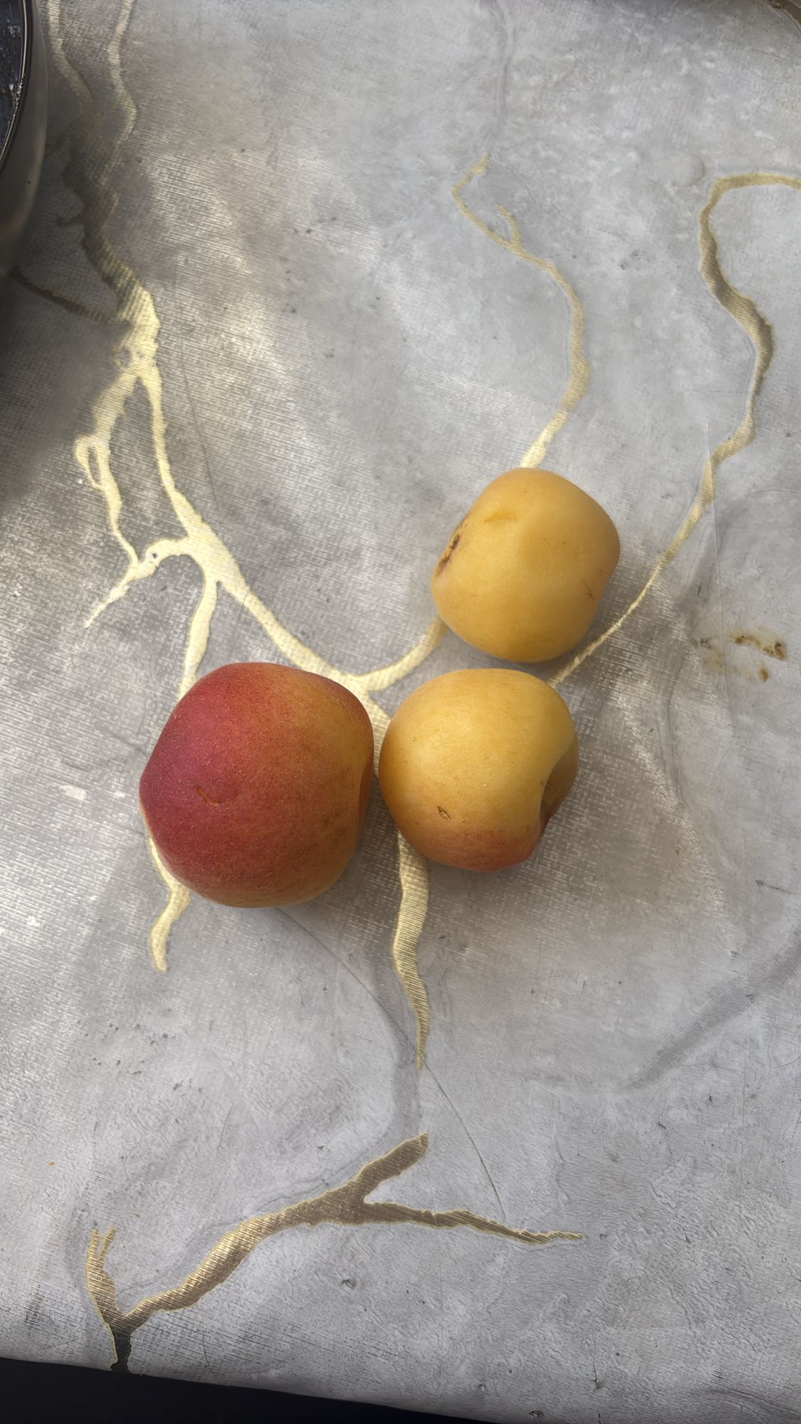 Trois abricots frais