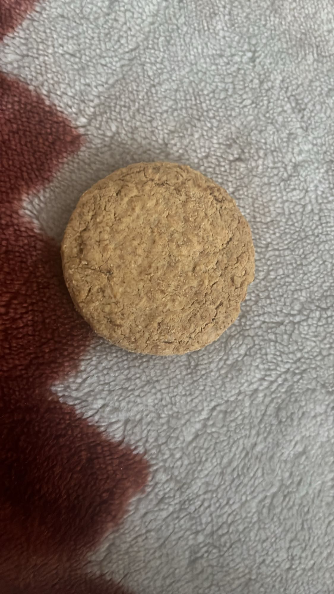 Galleta de salvado