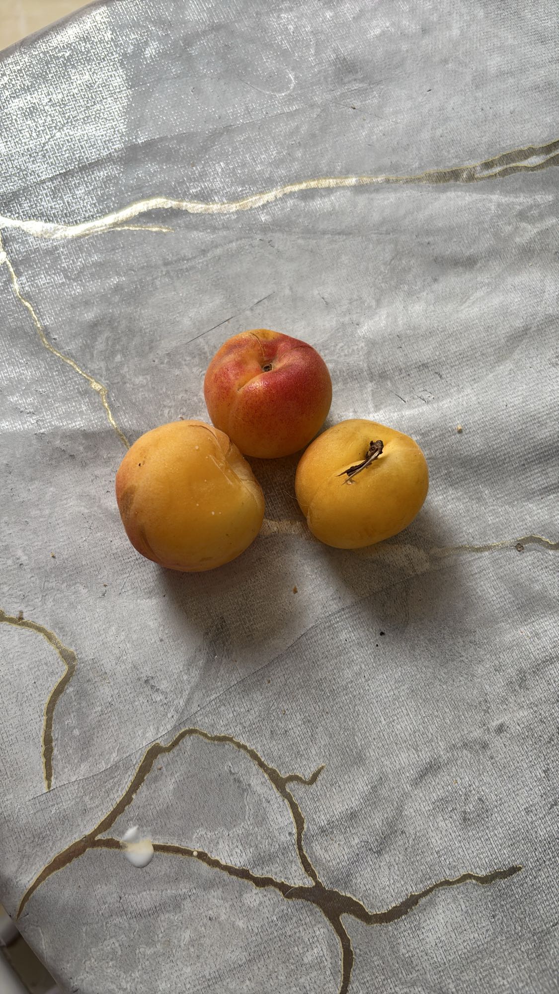 Trois abricots frais
