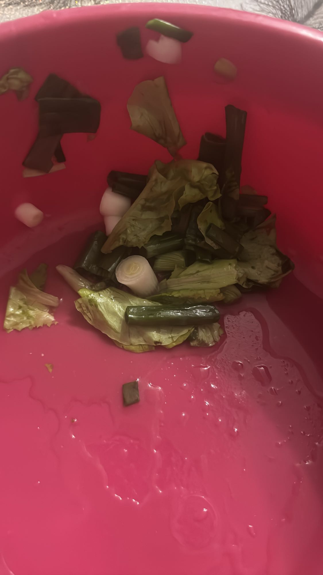 Salată verde cu ceapă