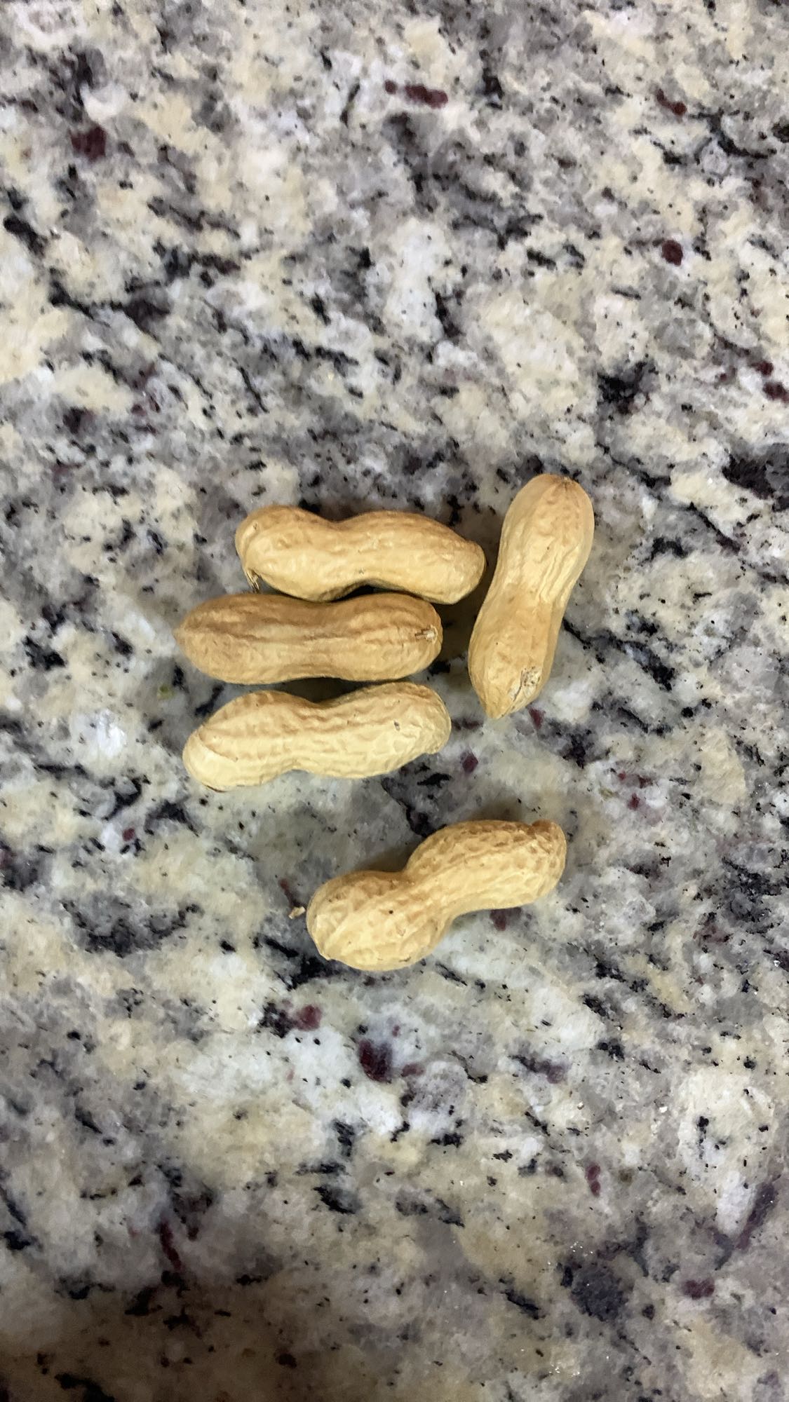 Cacahuates con cáscara