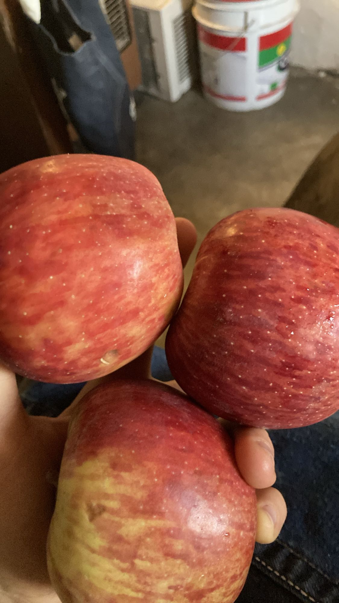 Tres manzanas rojas