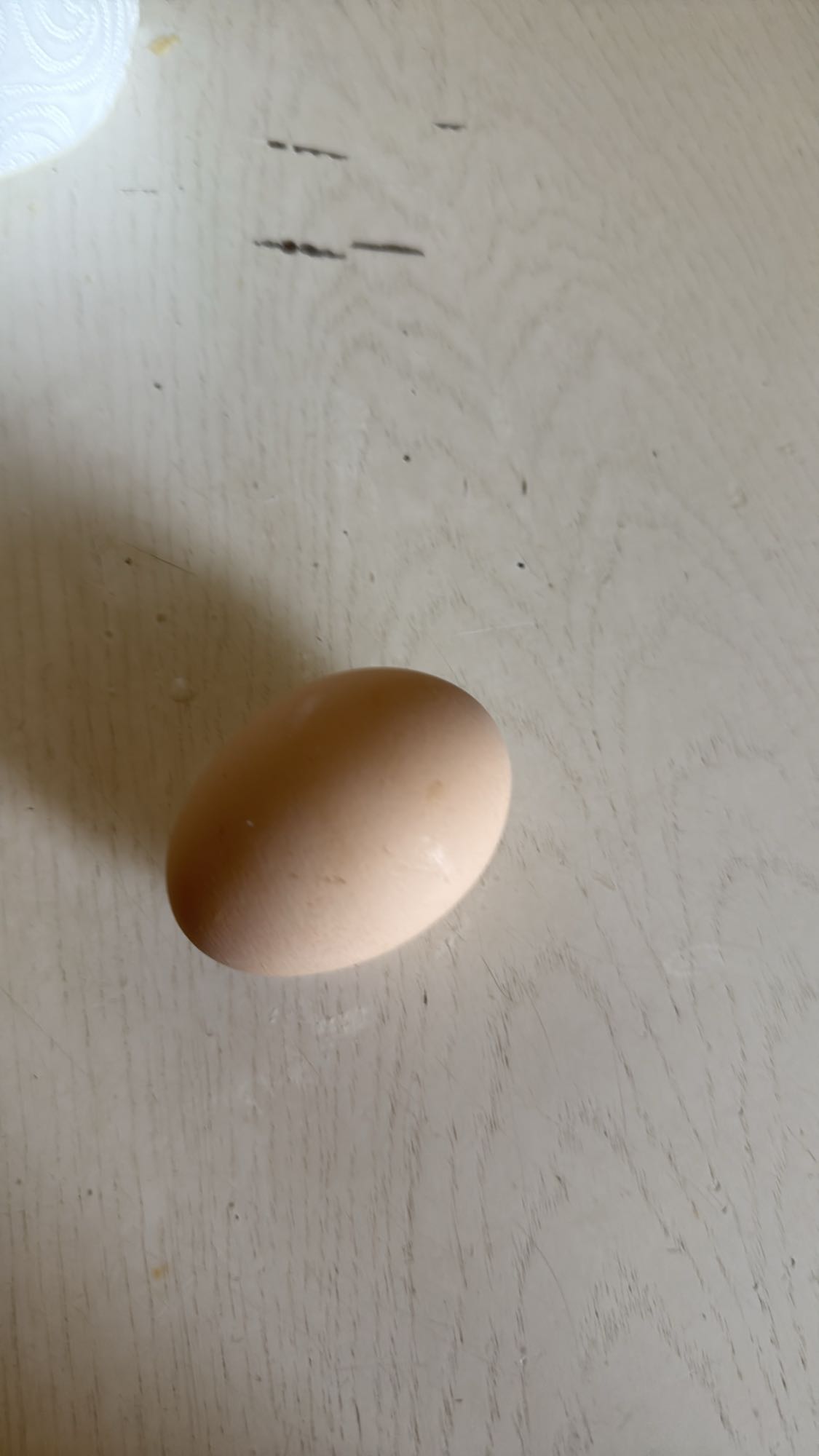 Куриное яйцо