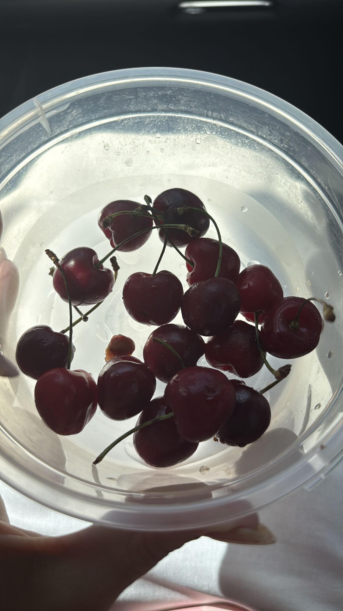 Свежая черешня