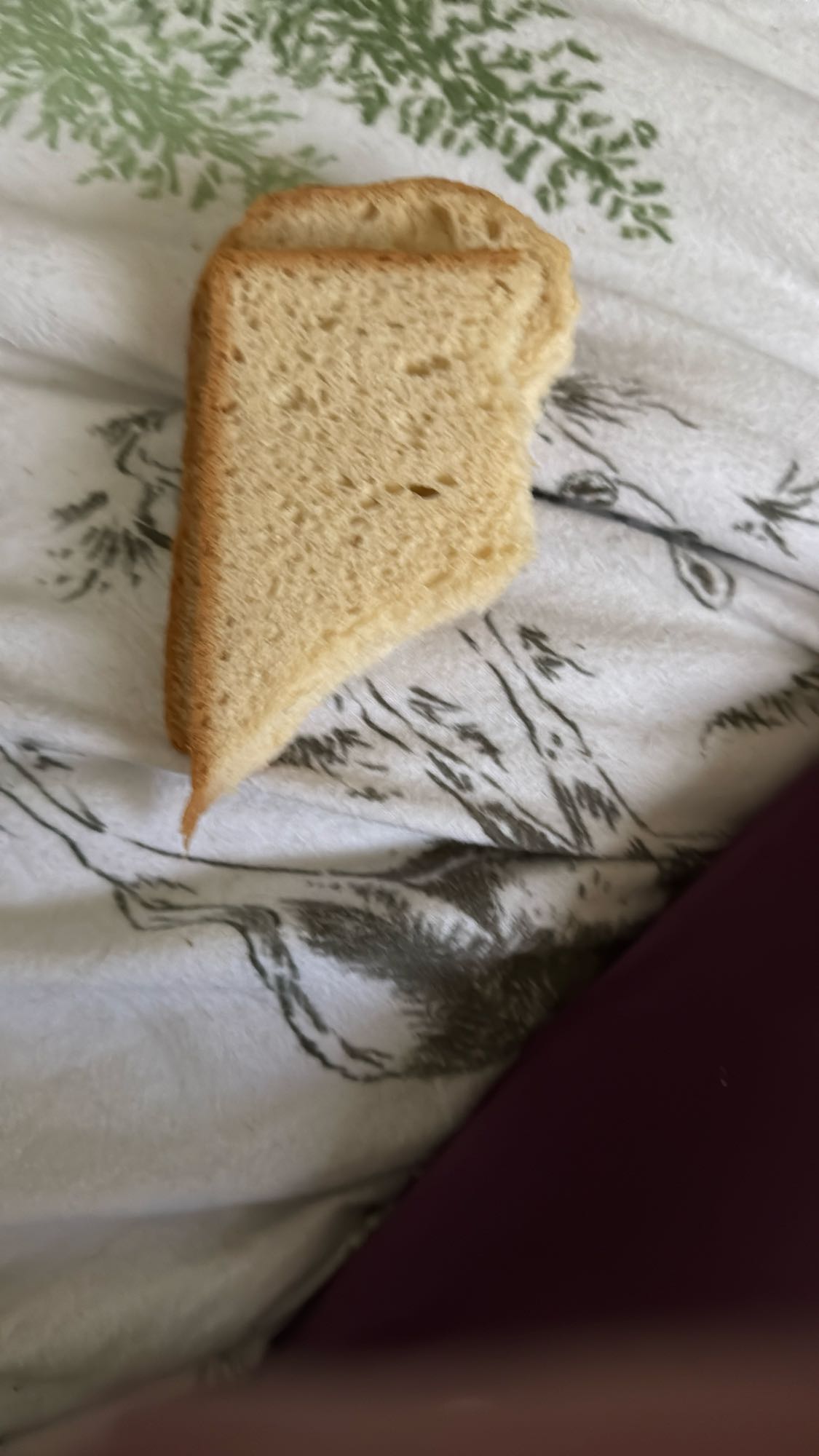 Tostada de pan simple