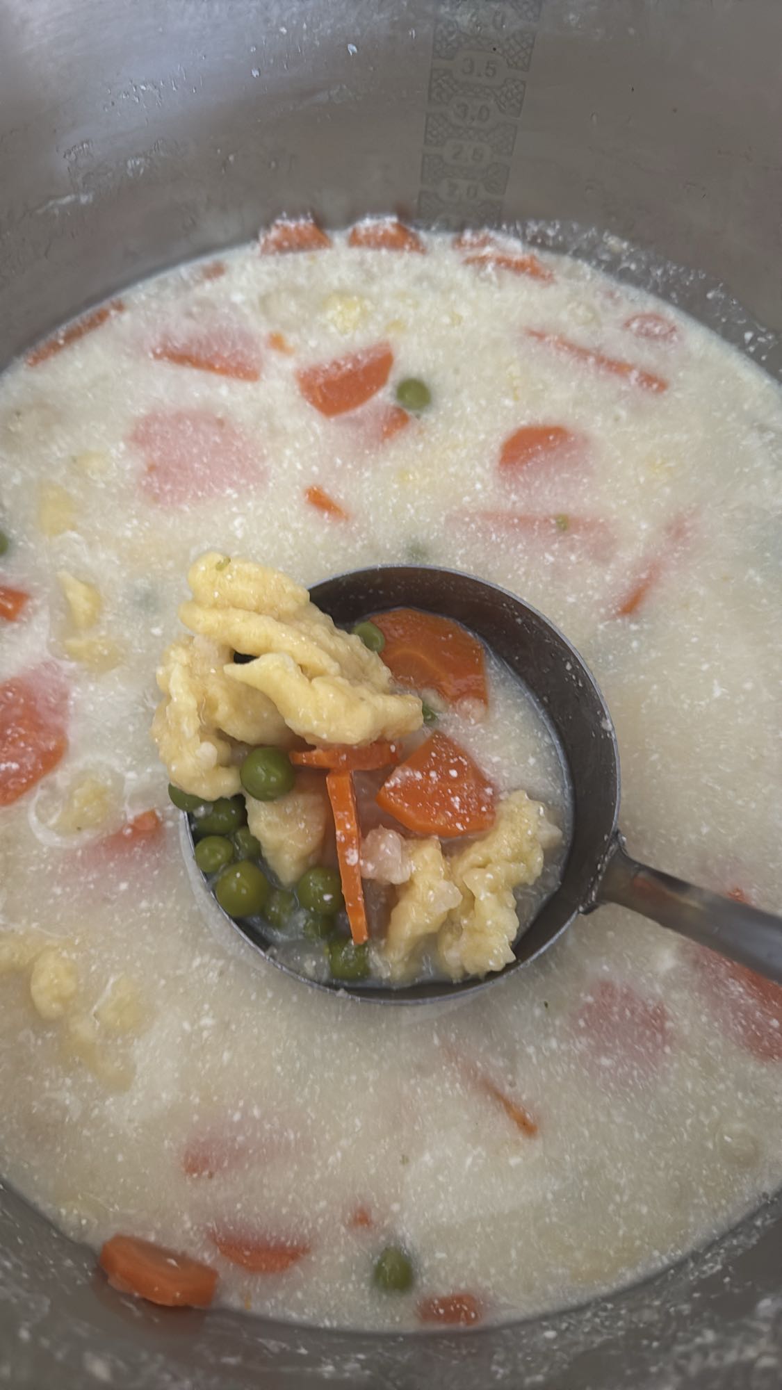 Vegetable Dumpling Soup