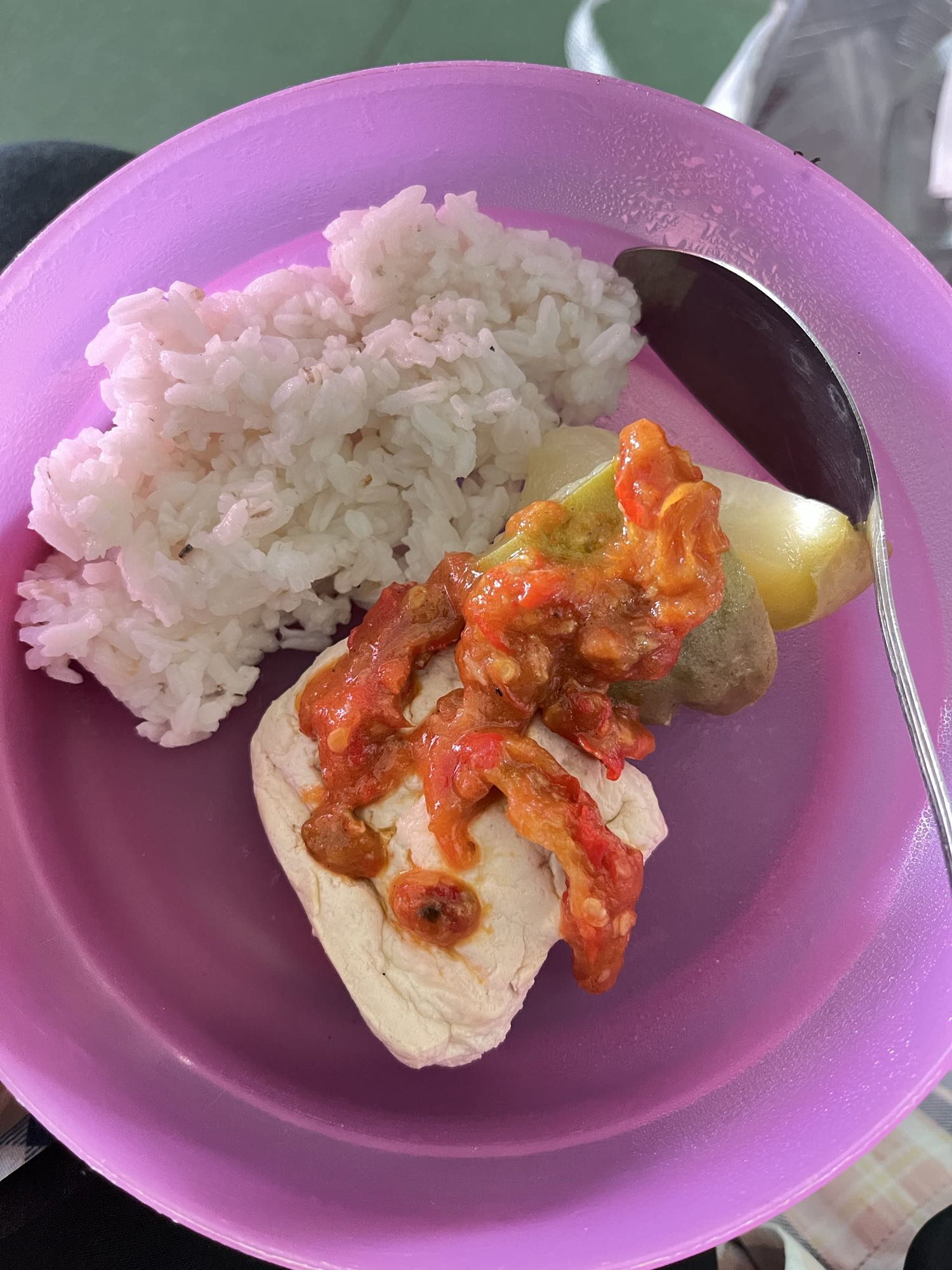 Nasi ayam rebus sambal