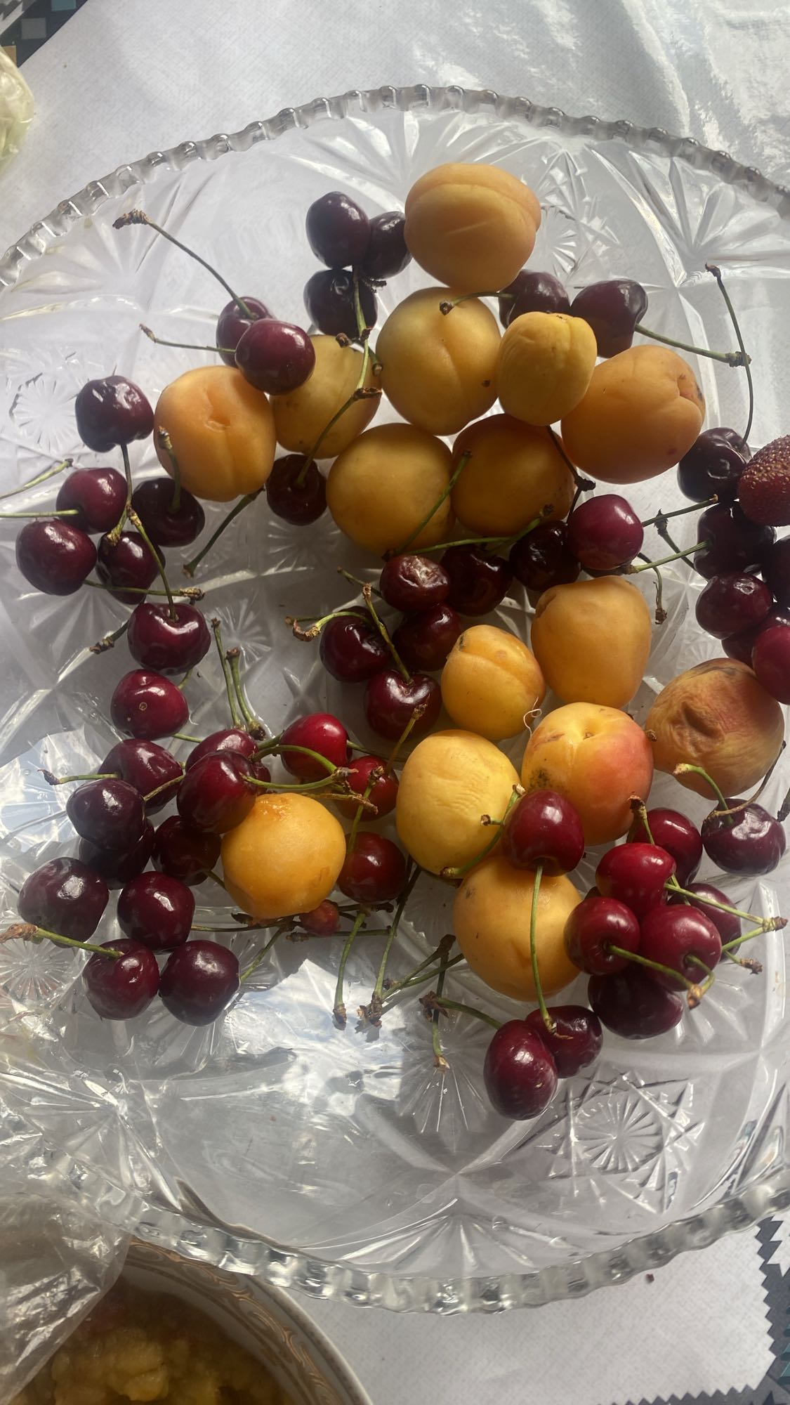 Абрикосы и вишня