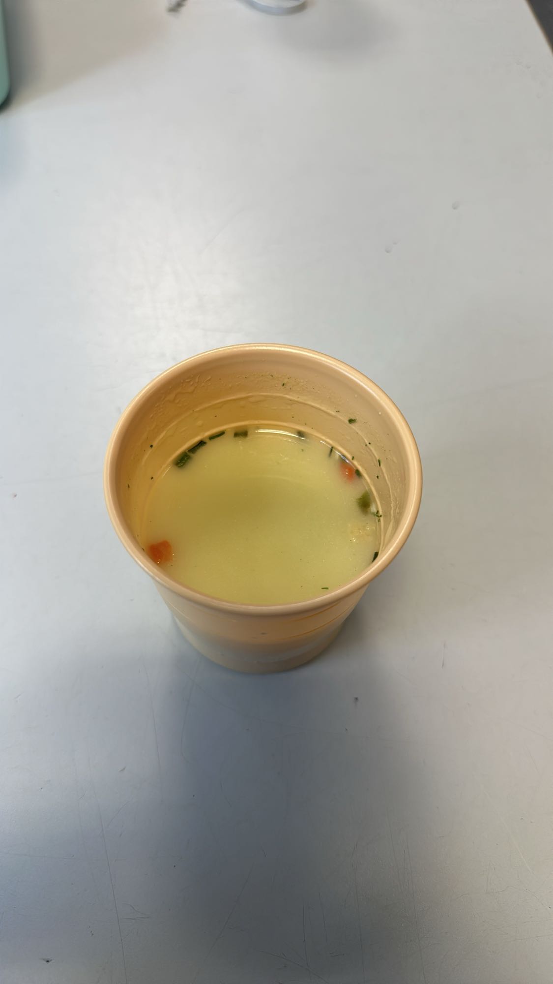 Sopa clara de vegetales