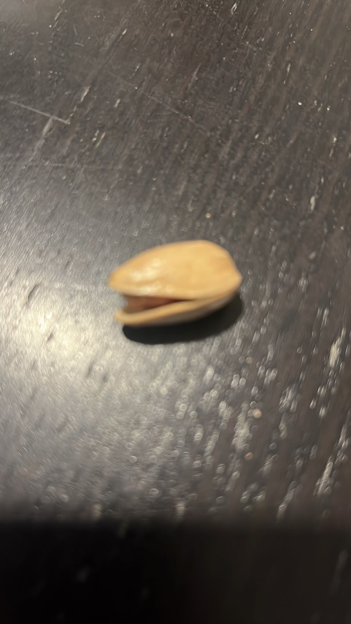 Single Pistachio Nut