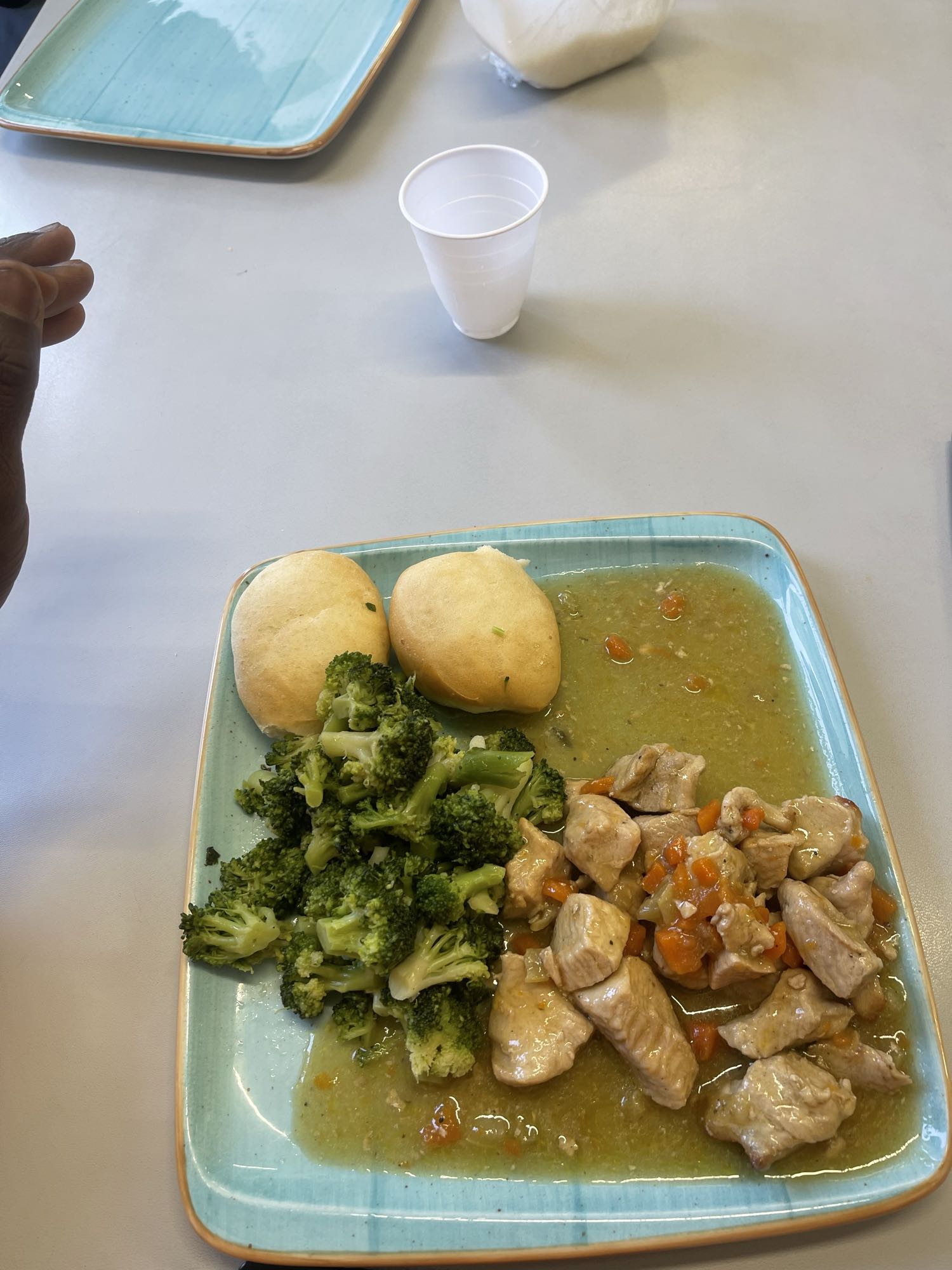 Chicken Veggie Plate