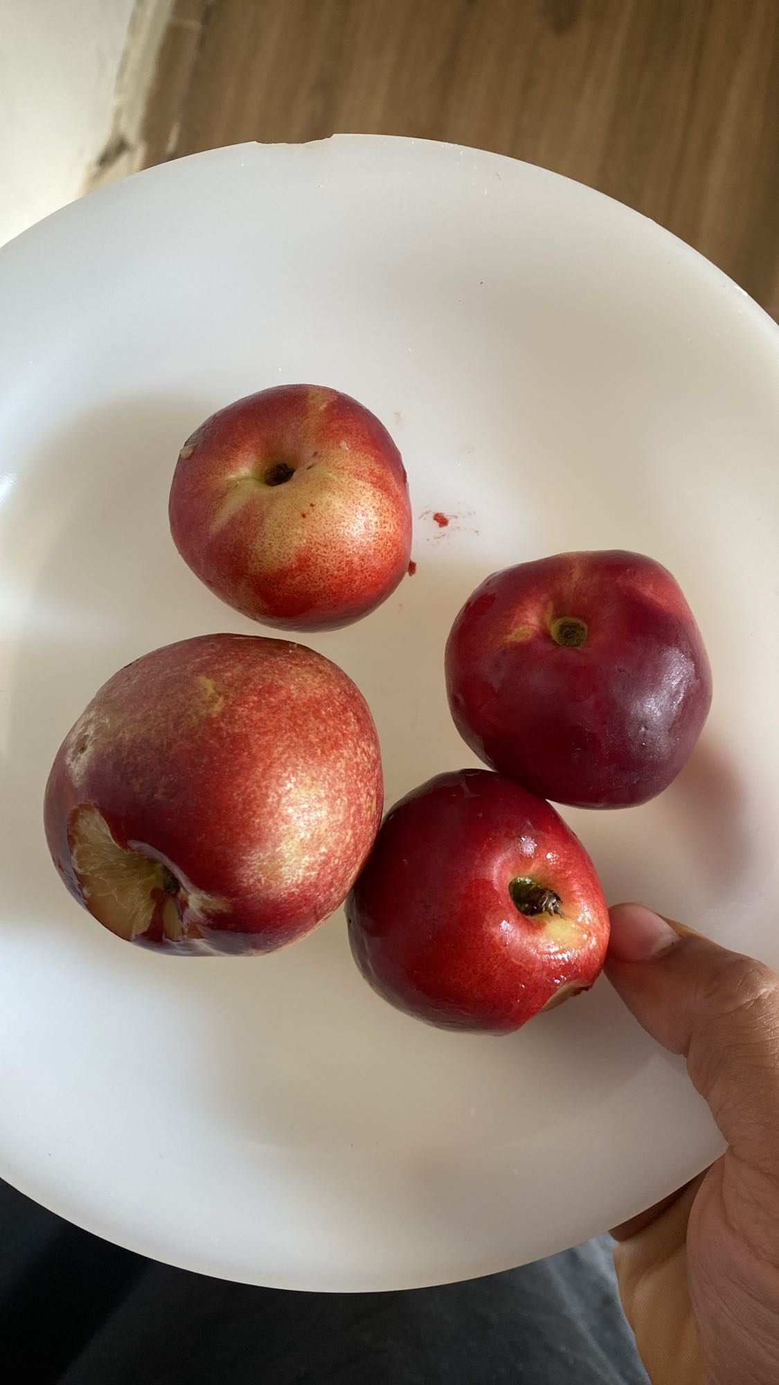 assiette de nectarines