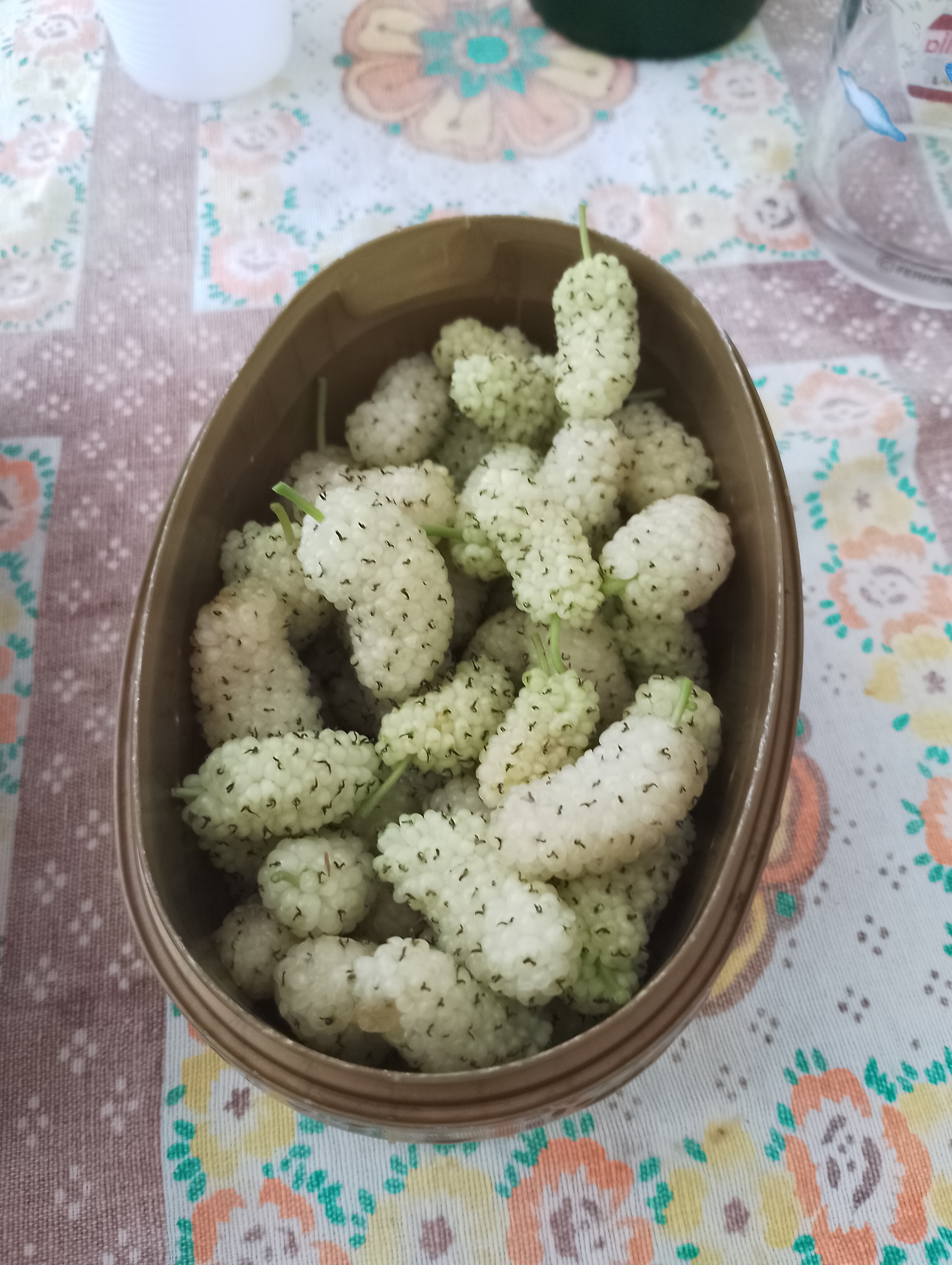 White Mulberries Bowl