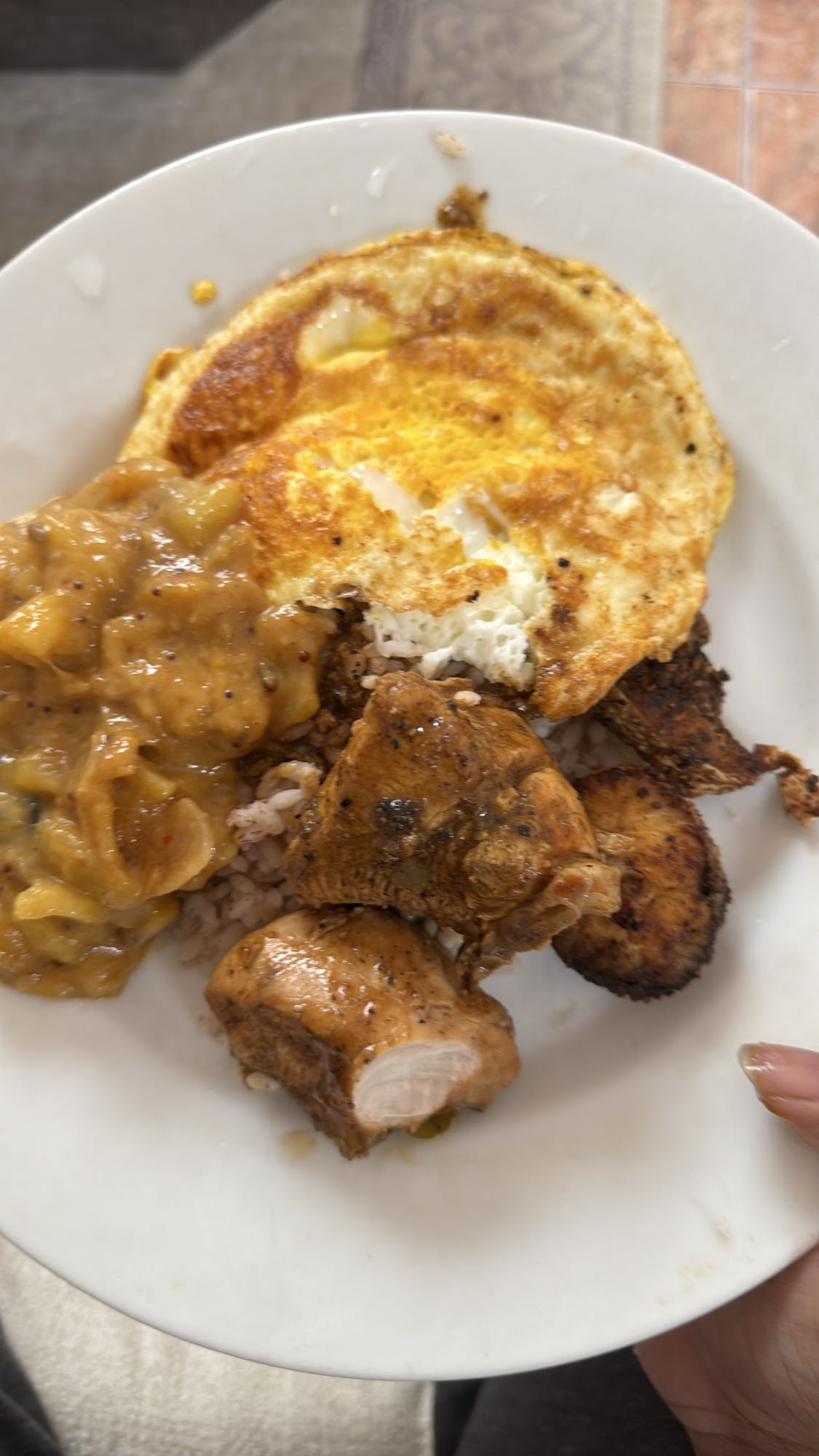 Chicken, egg, rice plate