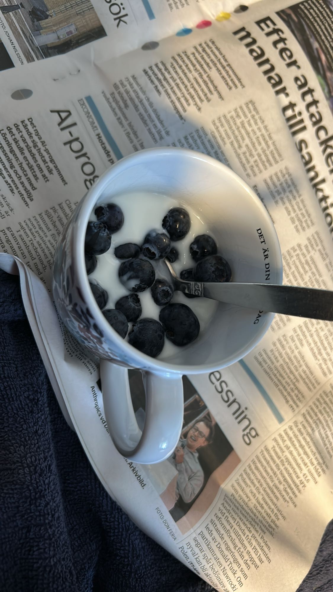 Blåbär med yoghurt