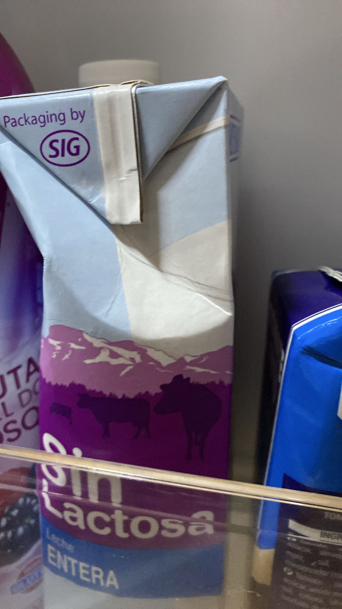 leche entera sin lactosa