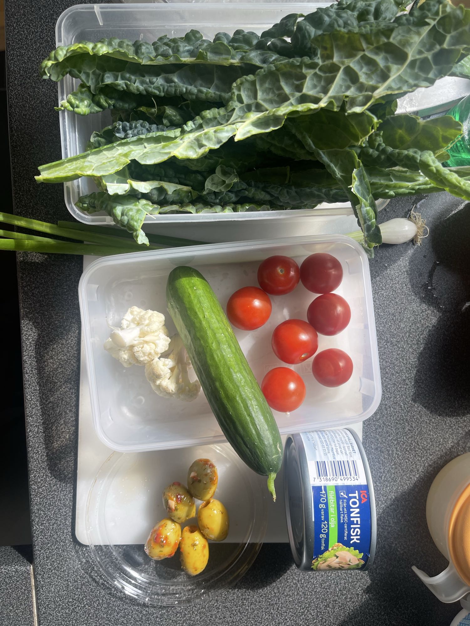 Tonfisksallad grönsaker